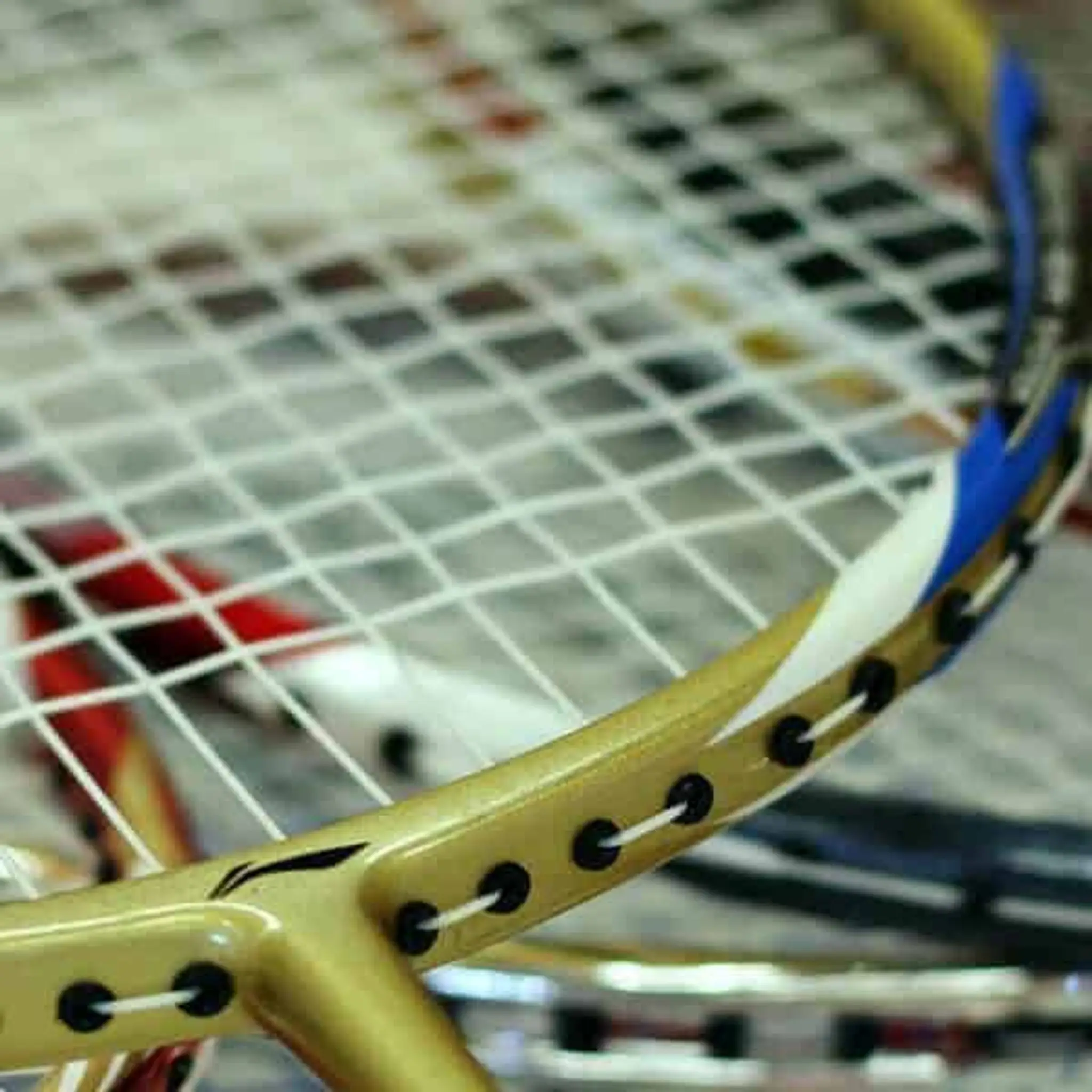 Wychelm Badminton Club