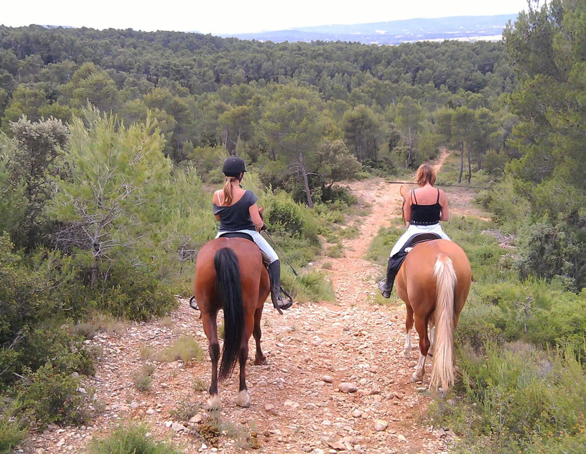 Balade à cheval Equité'fan
