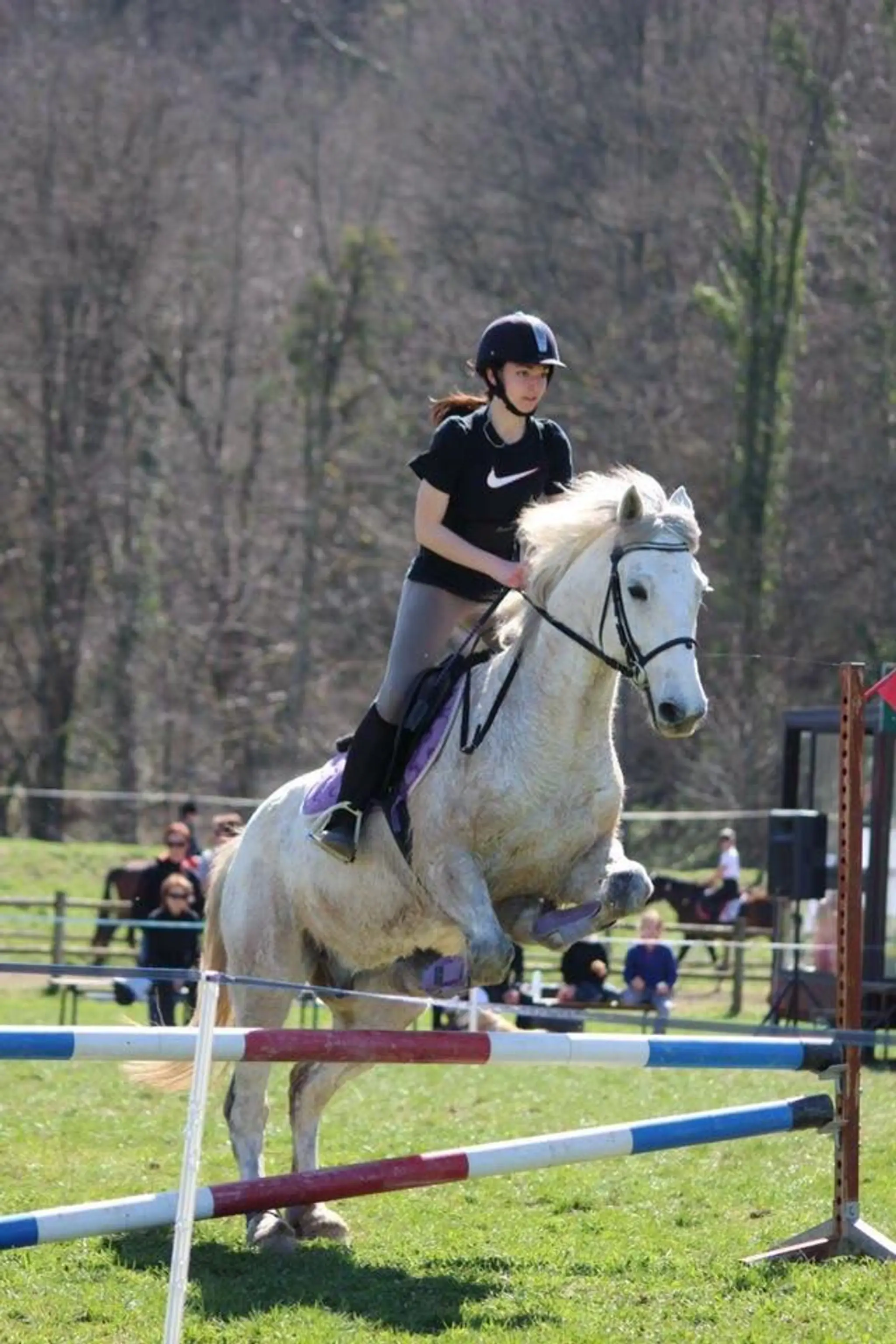 Centre Equestre Cantegril