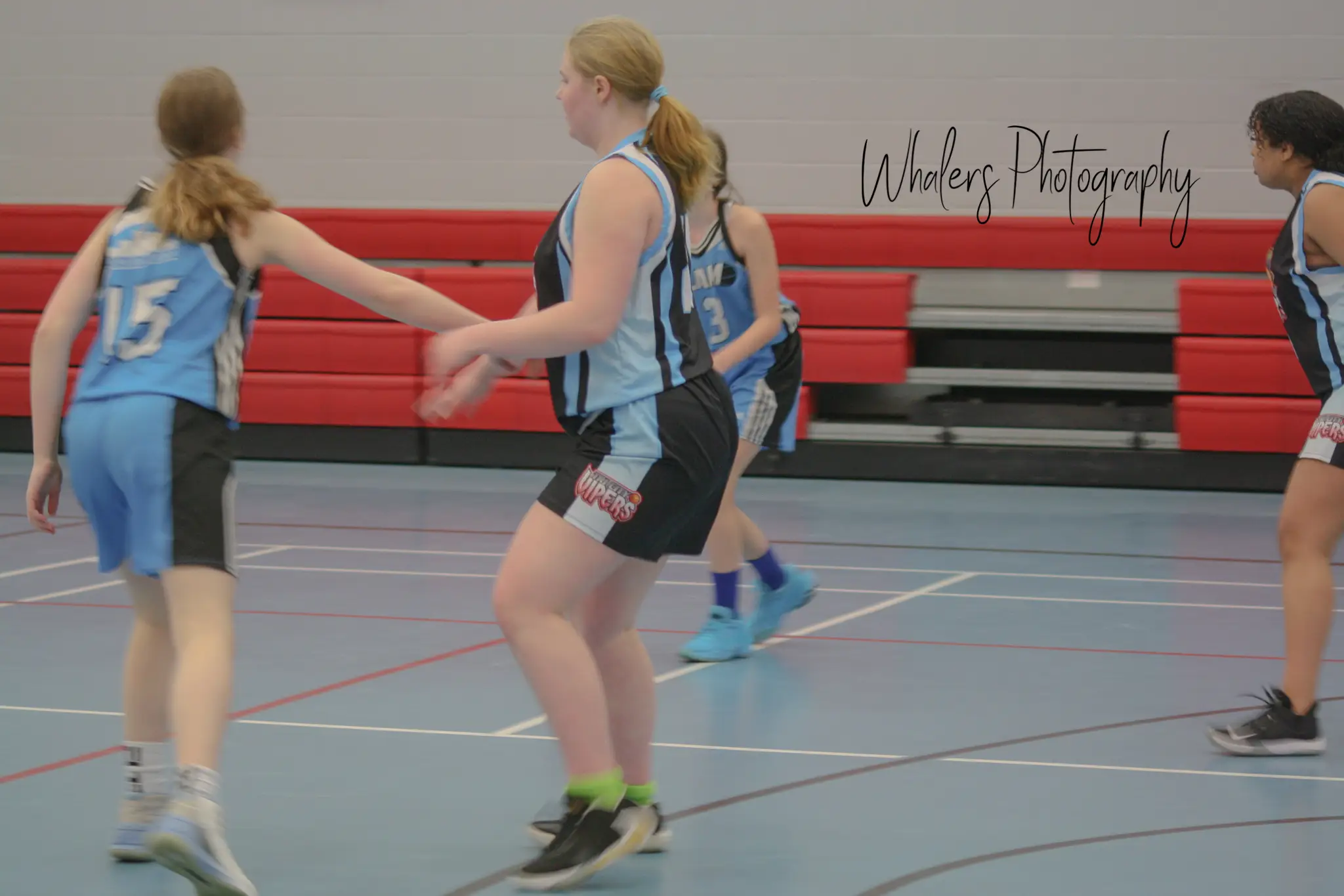 TRI-CITY VIPERS BASKETBALL