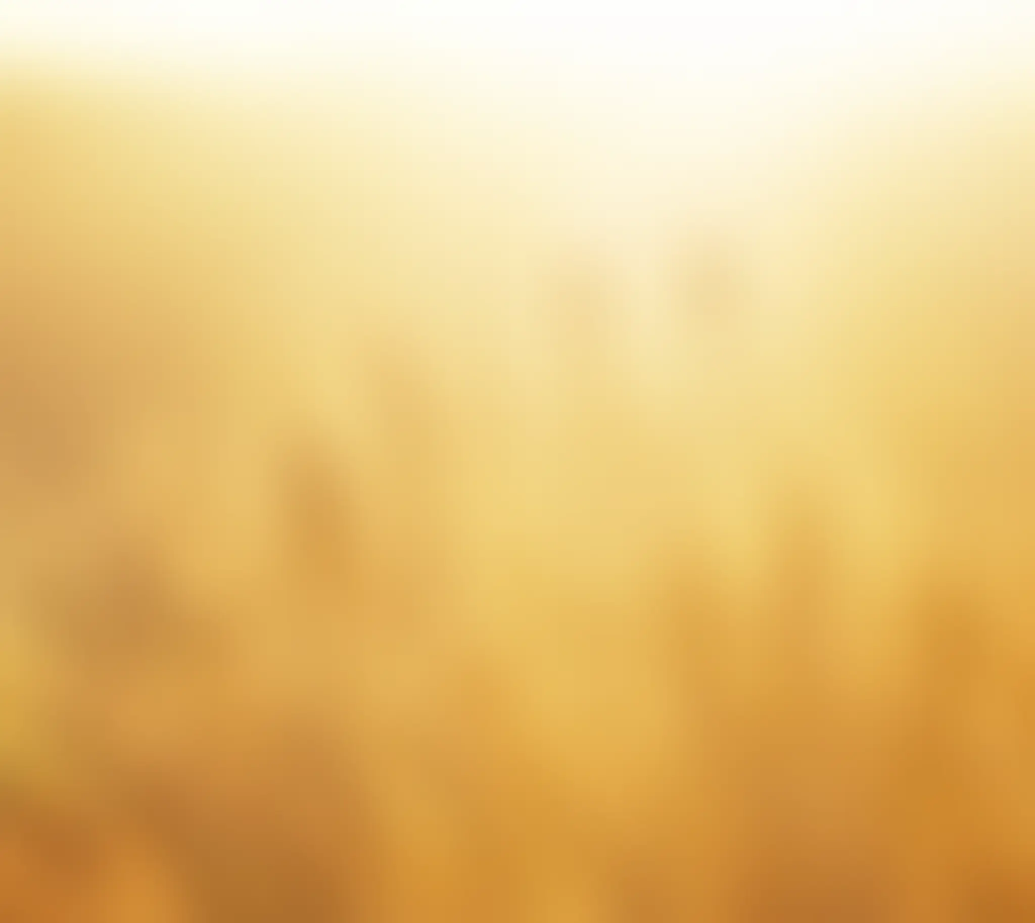 Treehouse Yoga Studio