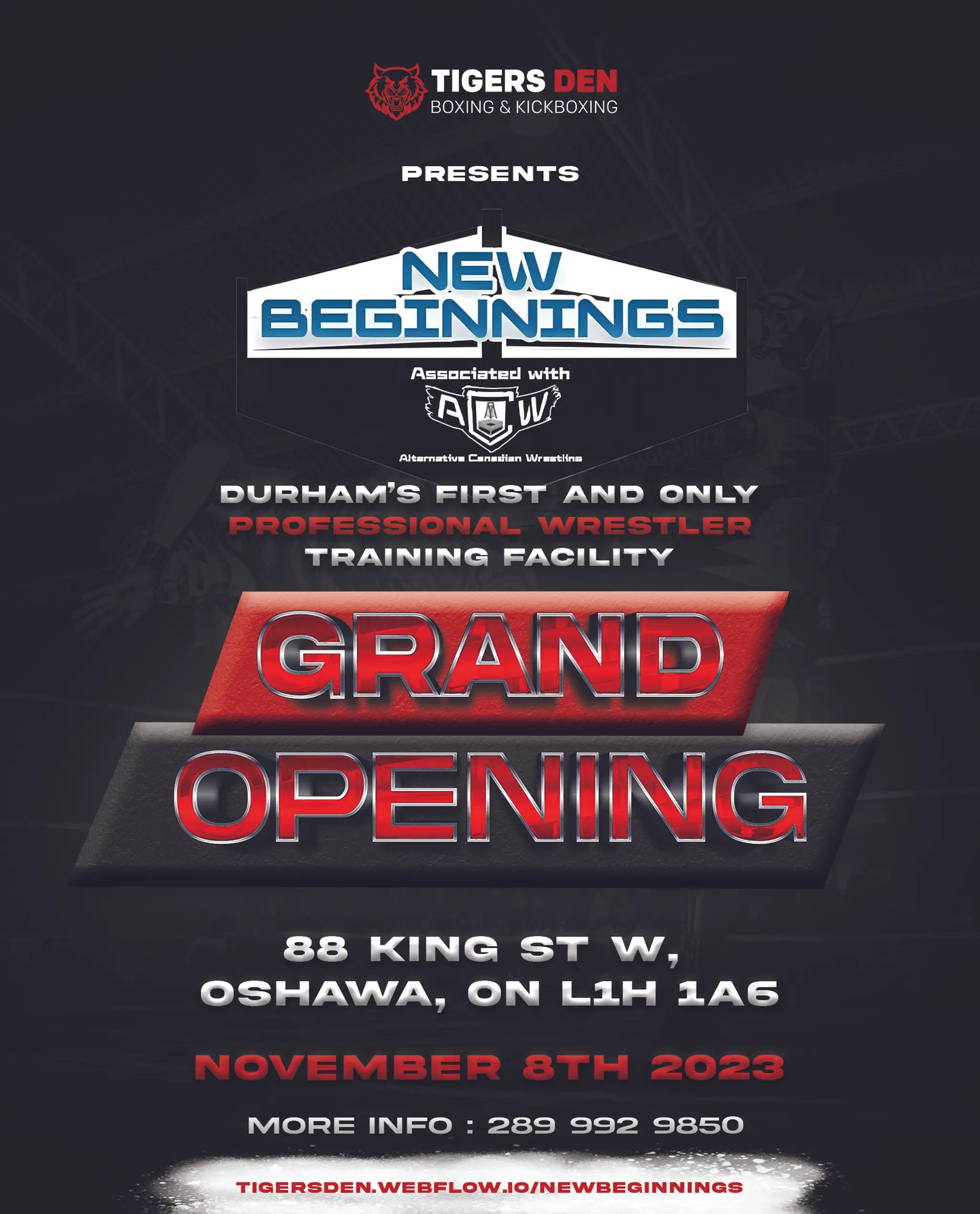 Tigersden Boxing/Kickboxing