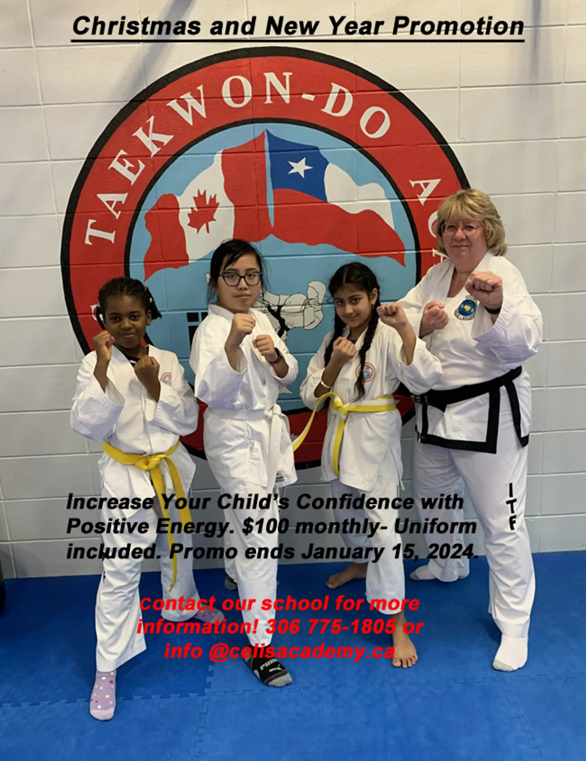 Celis TaeKwon Do Academy