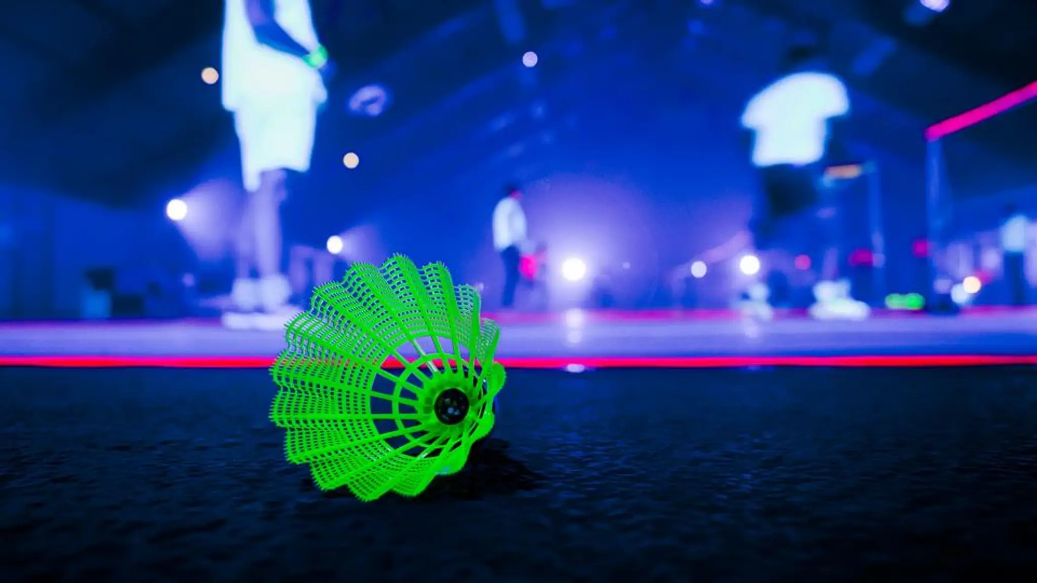 Badminton Annemasse Agglo (B2A74)