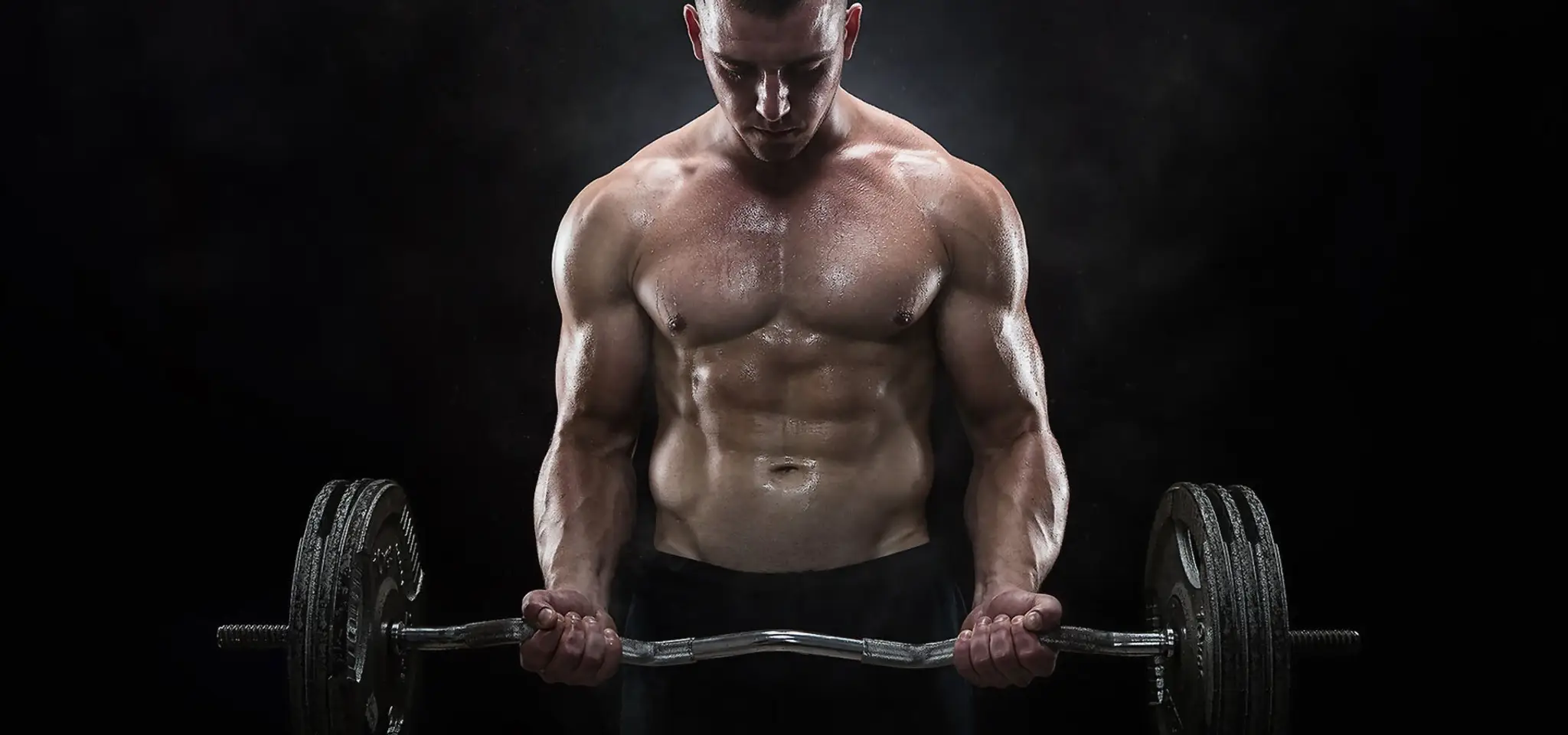 Fitness Point