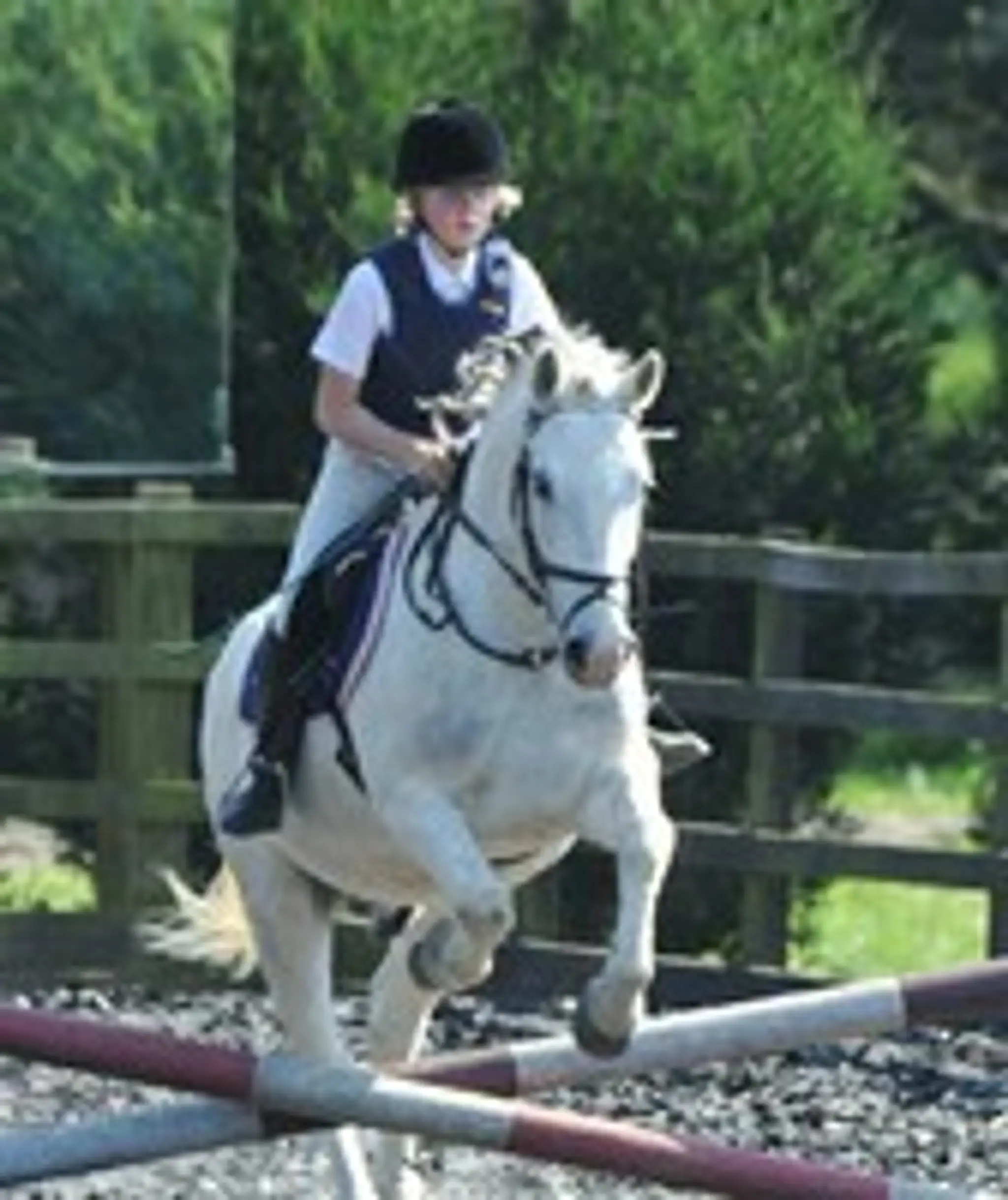 Featherbed Stables and Riding School