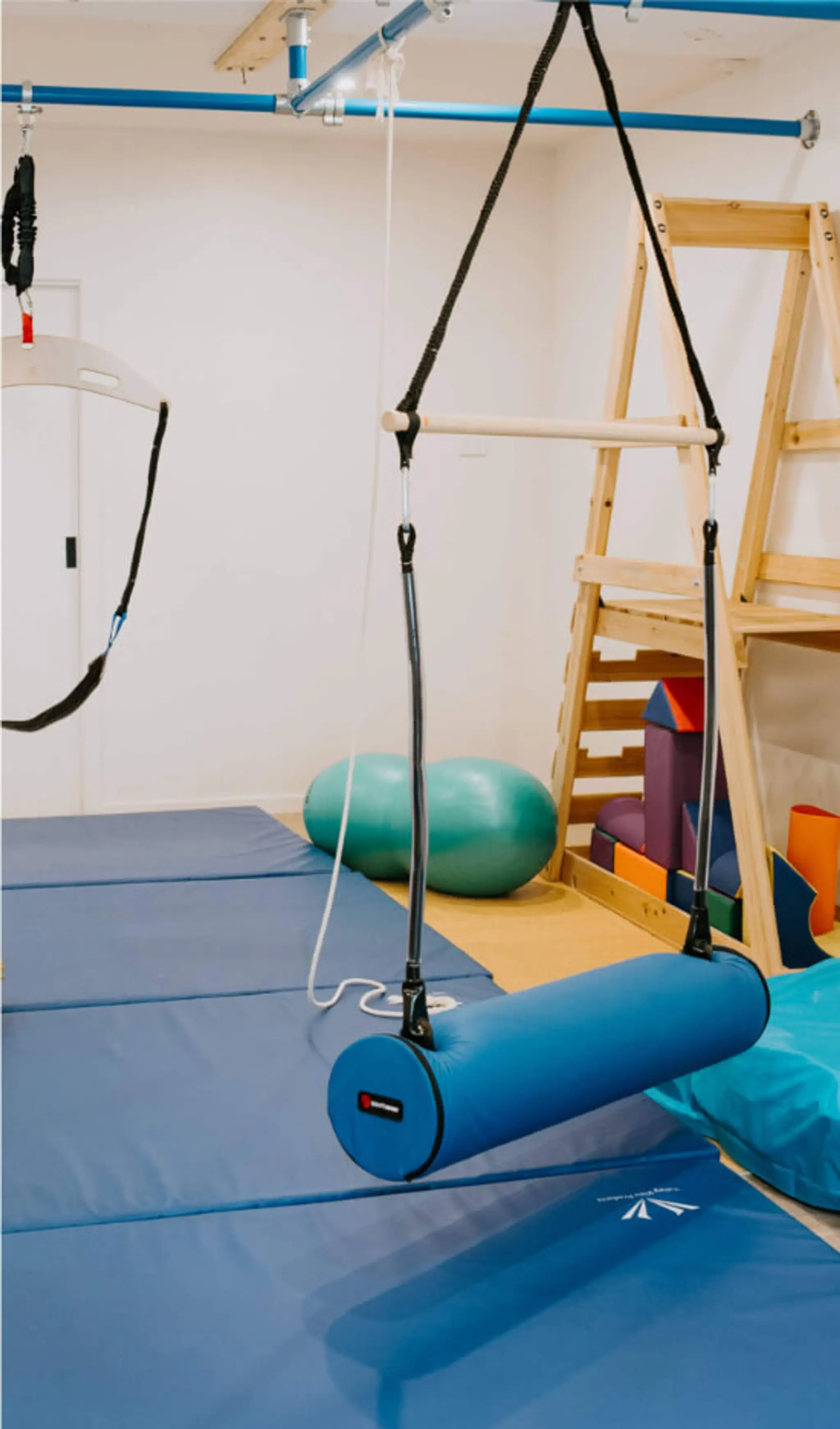 Domain Health OT and Speech Pathology