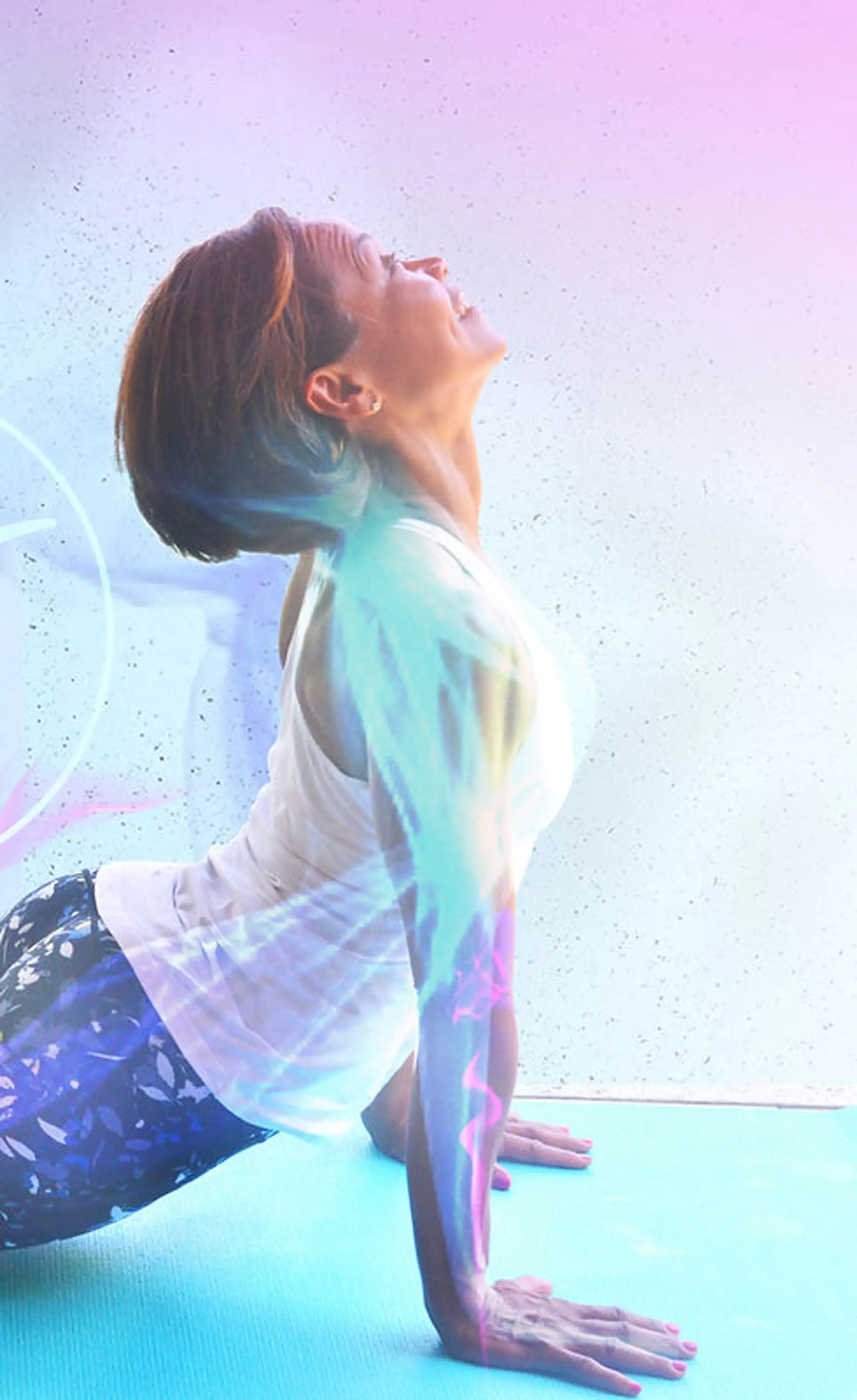 The Hummingbird Studio