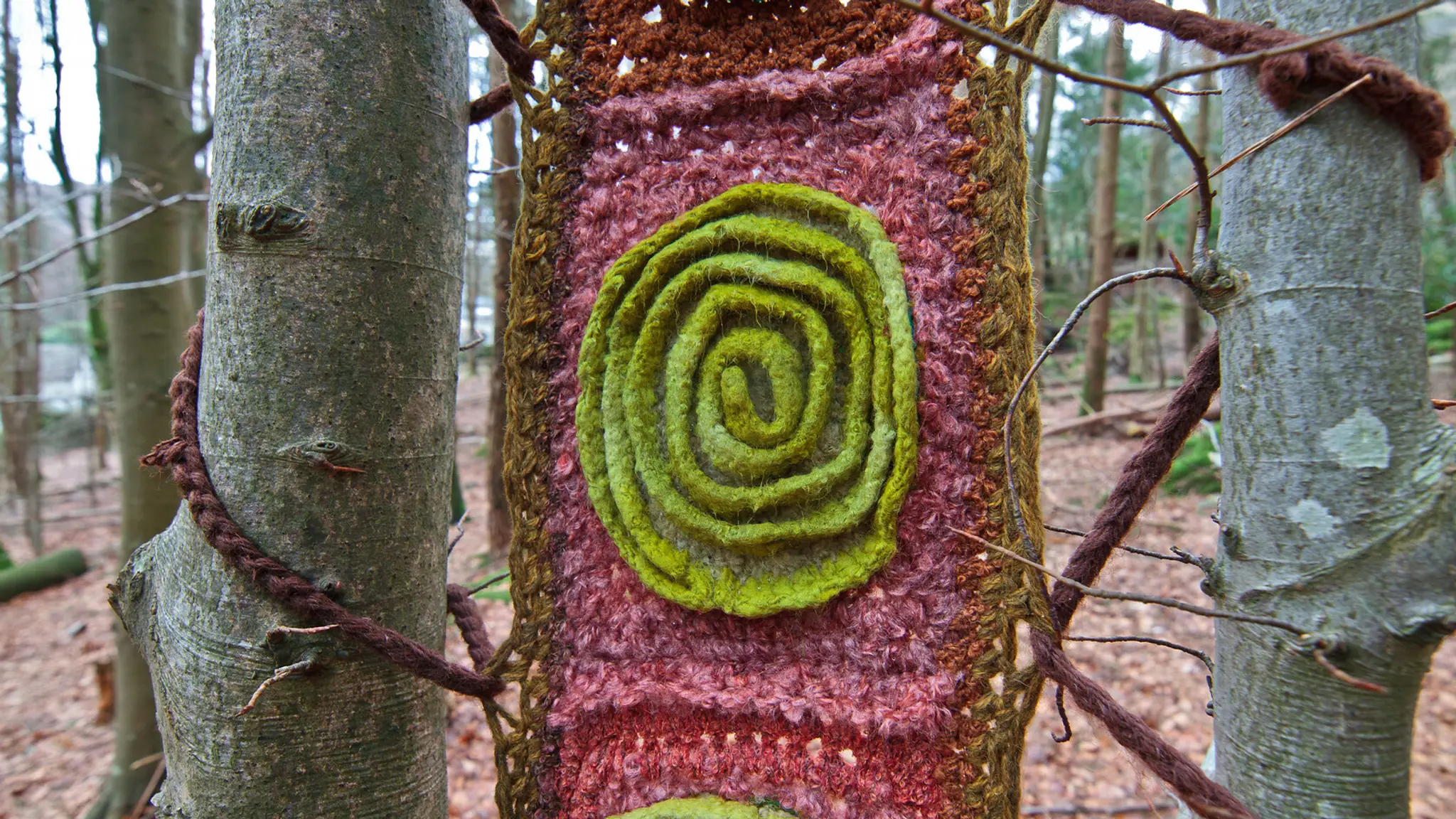 The Herdwick Huts and Lake District Yoga Retreats