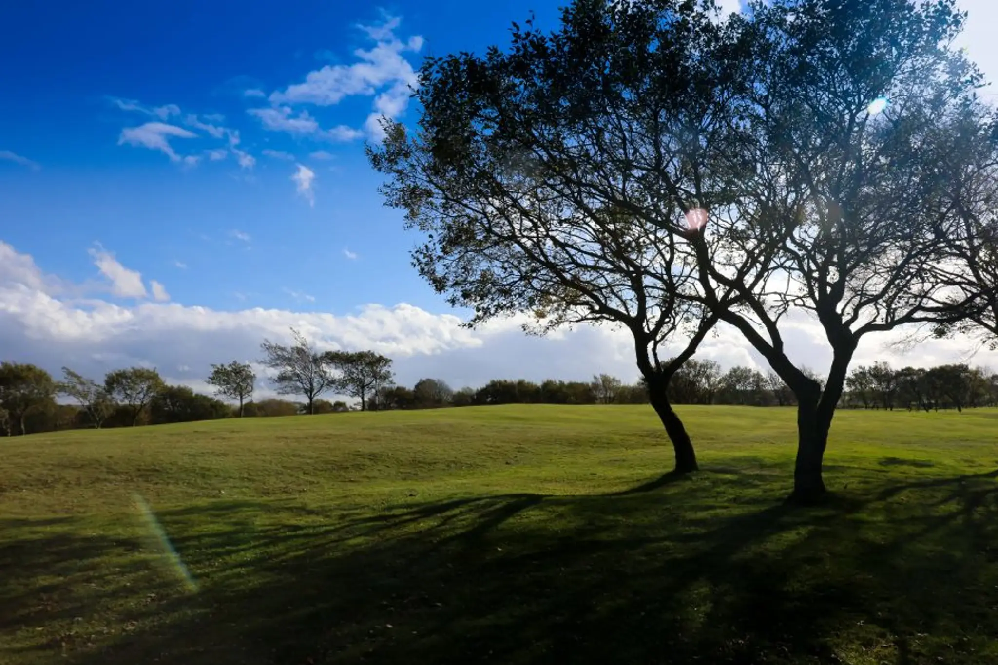 Green Haworth Golf Club