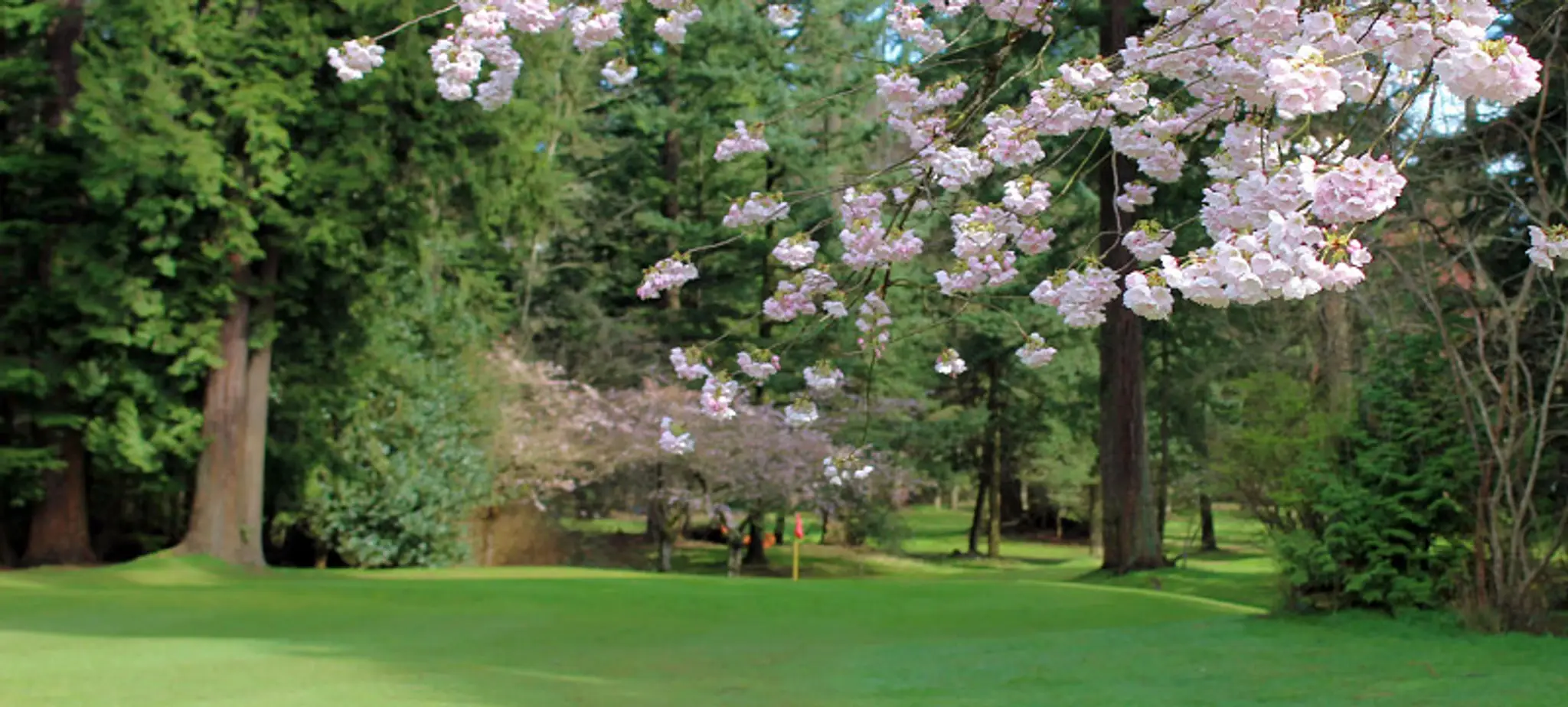 Central Park Pitch & Putt