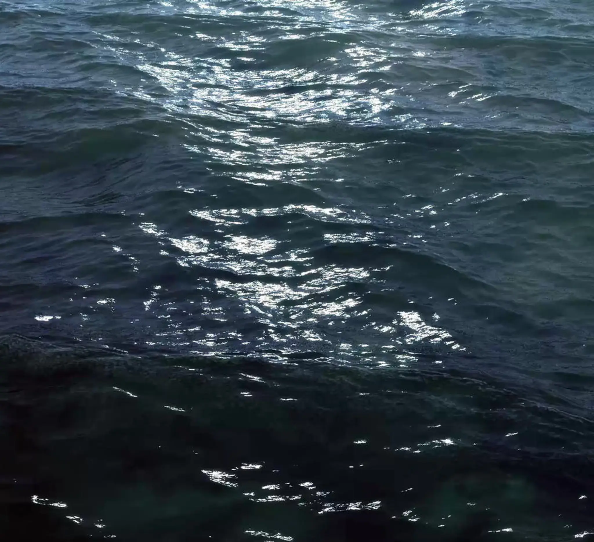 Cambridge School of Navigation