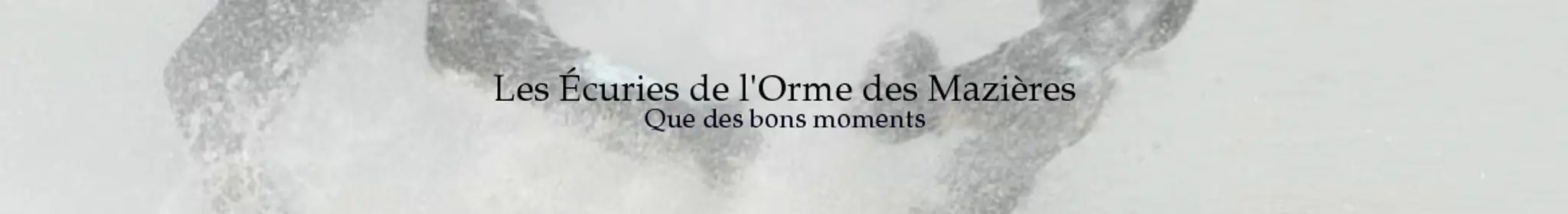 Les Ecuries De L'orme Des Mazières