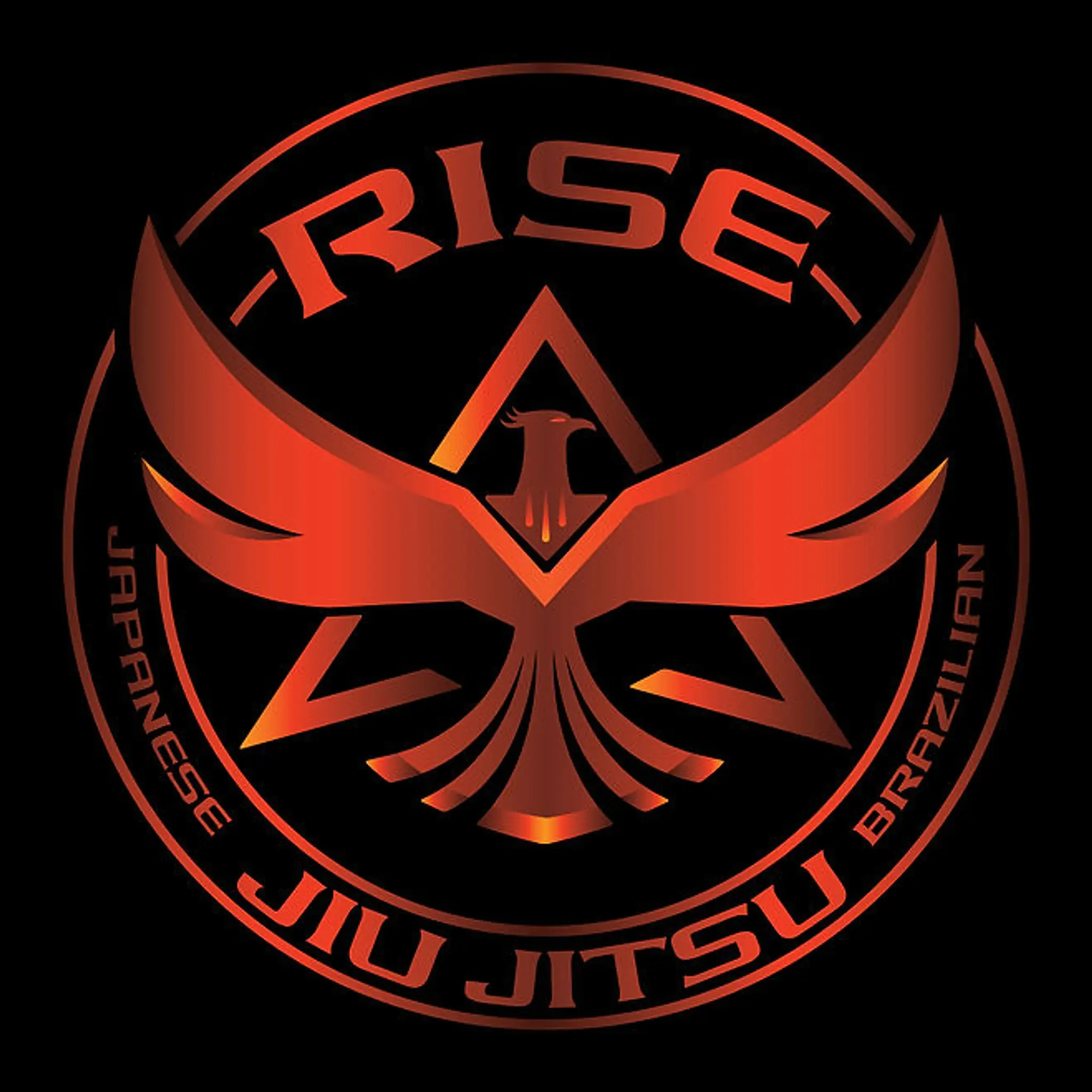 RISE Jiu Jitsu