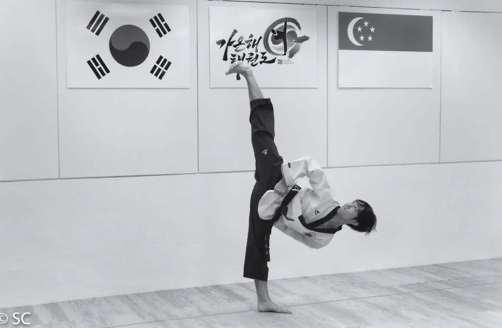 Gaonhae Taekwondo Newton