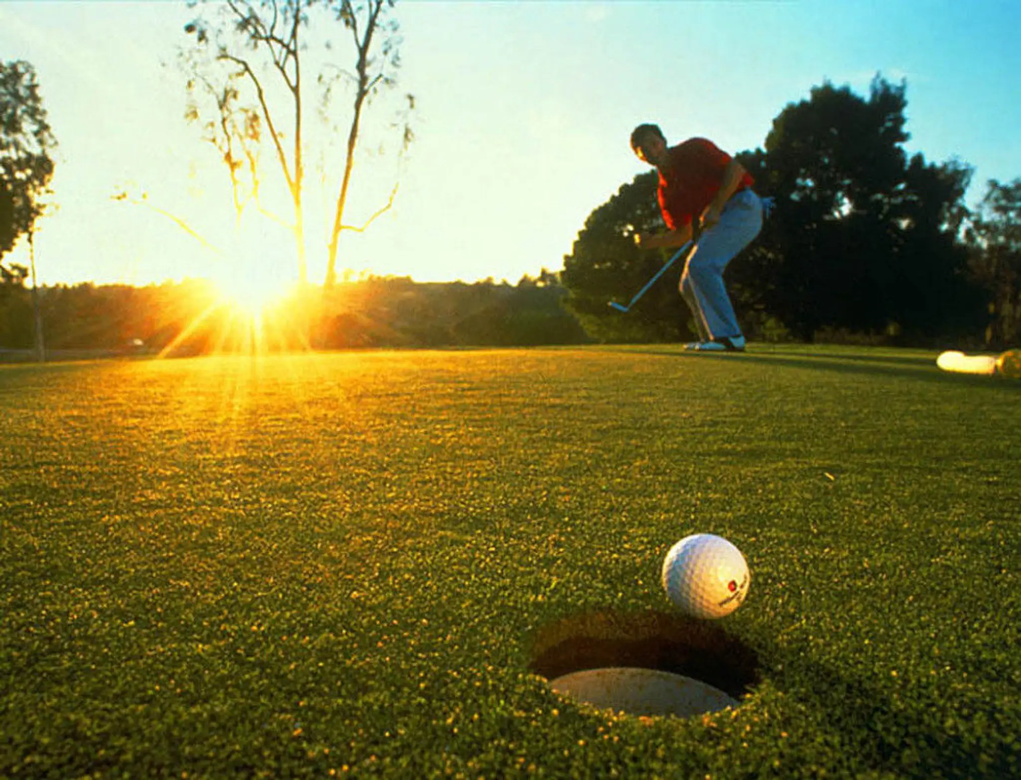 TourSwing Golf Swing Lessons & Instruction Chichester