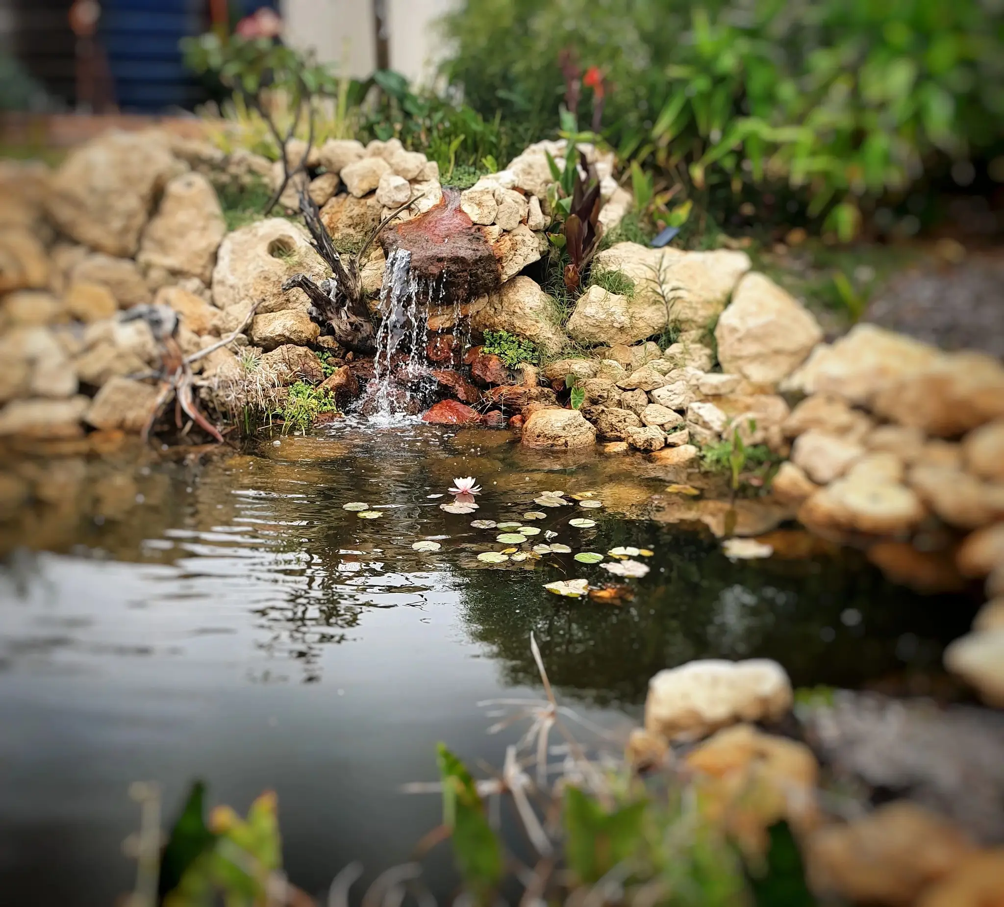 Jurien Heights Plant and Fish Nursery