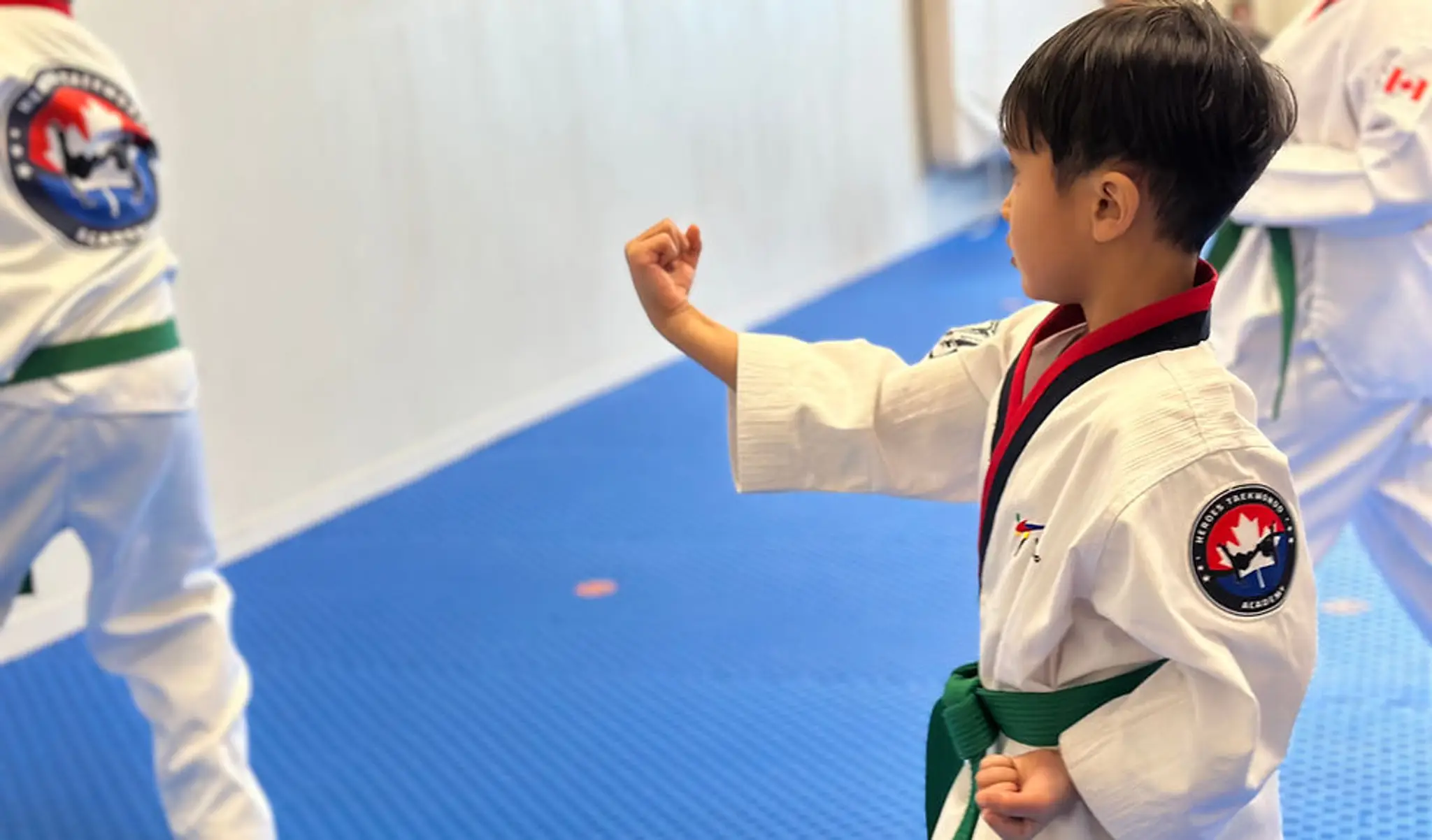 Heroes Taekwondo Academy
