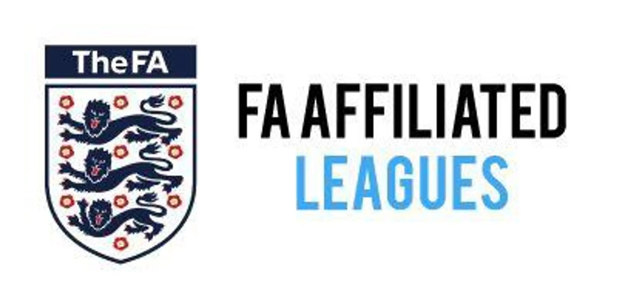 Total Football Mania