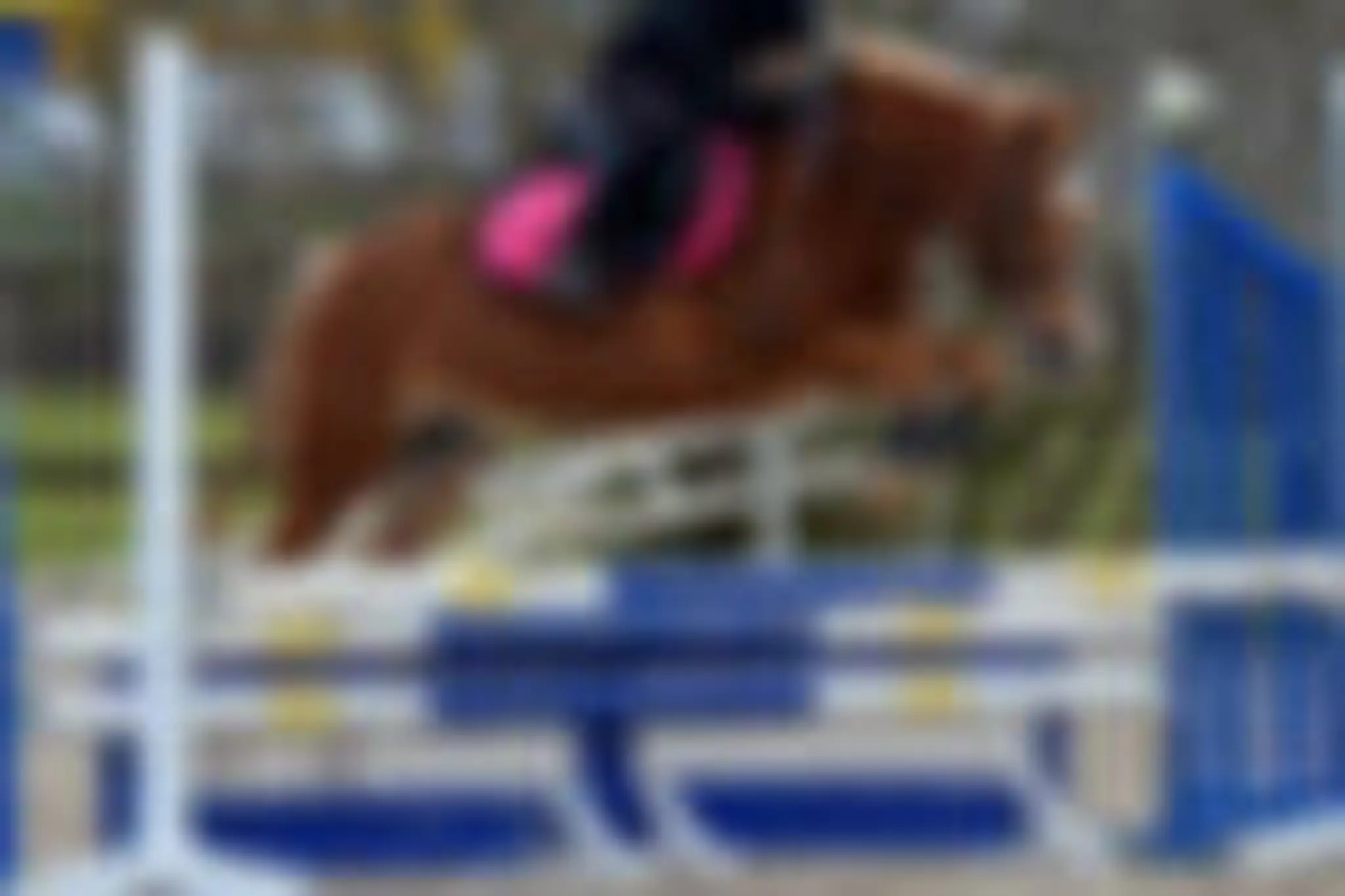 Sarl De La Ferme Equestre Du Piroue