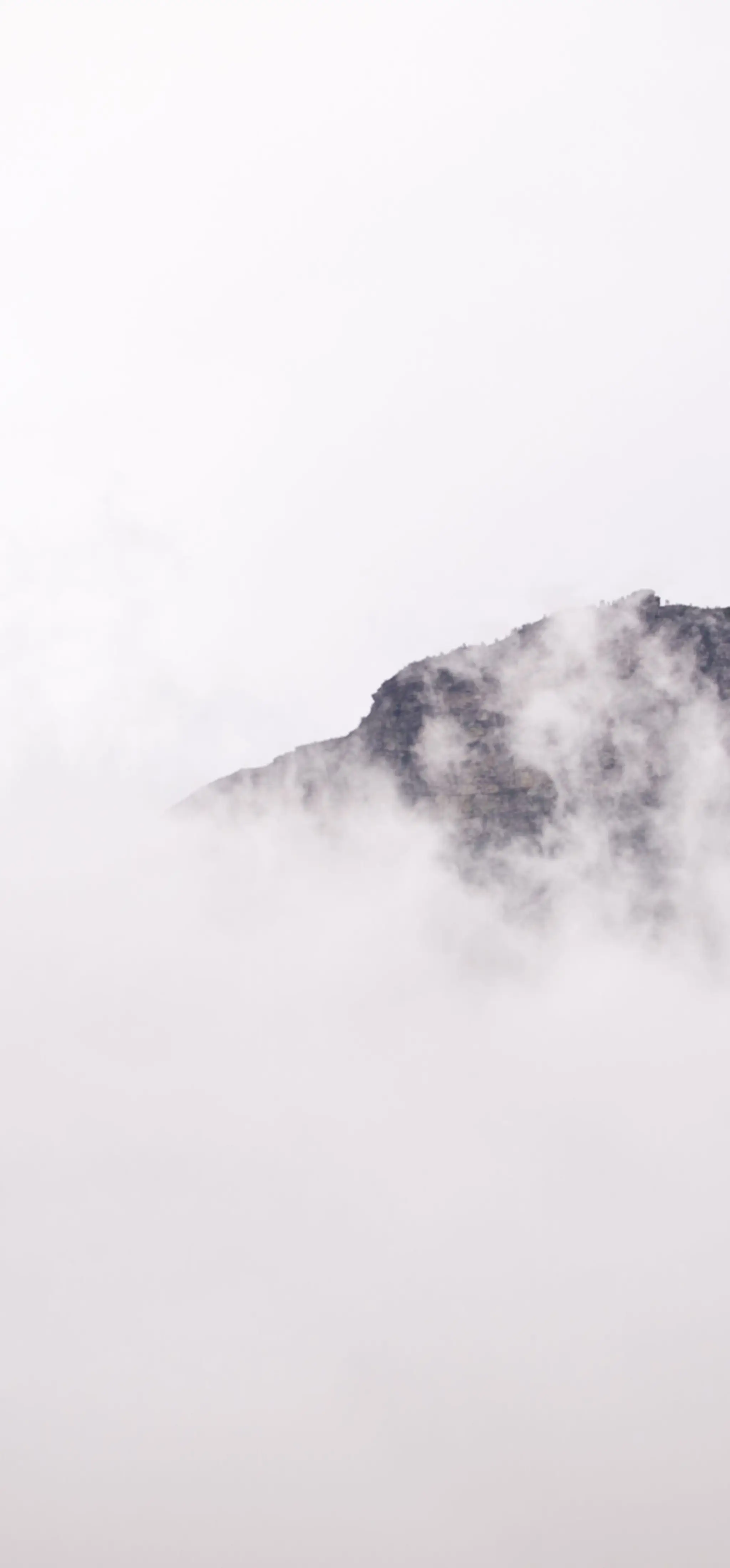 SHITO RYU KARATE DO KENSHO BUGEI Kai Intl