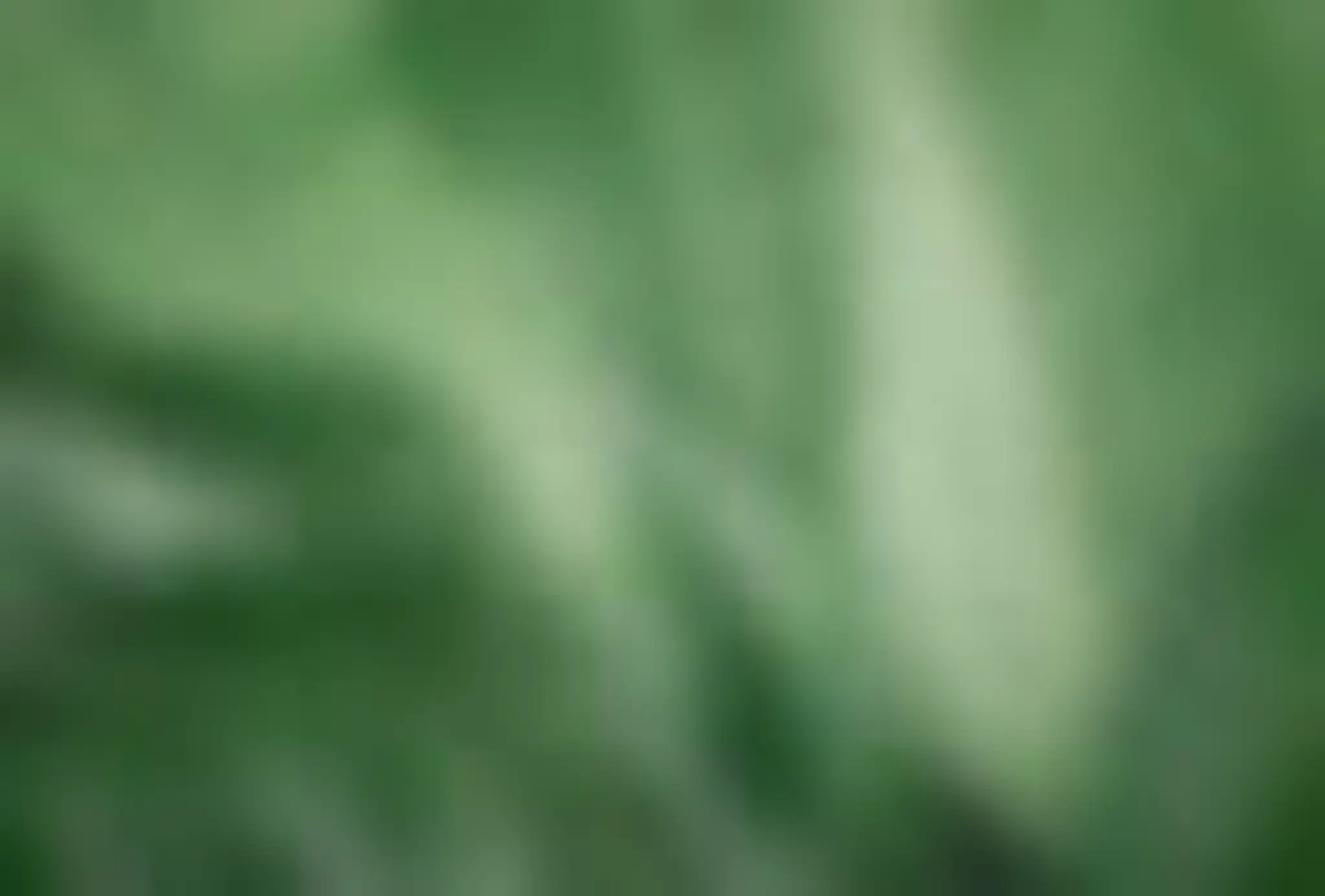 The Body Therapy Clinic