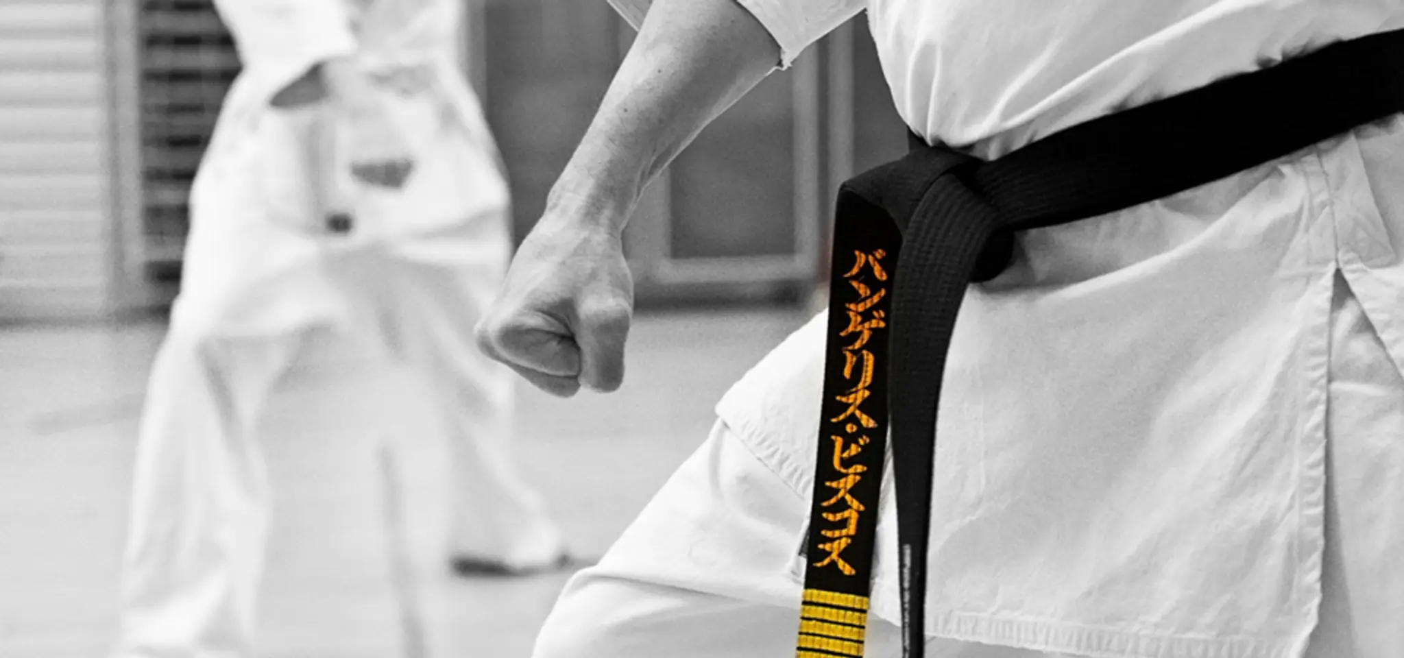 Center Karate Osu Kyokushin St Constant