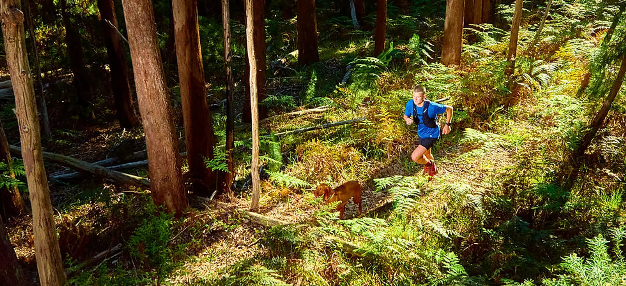 Hero Mountain Bike Trail