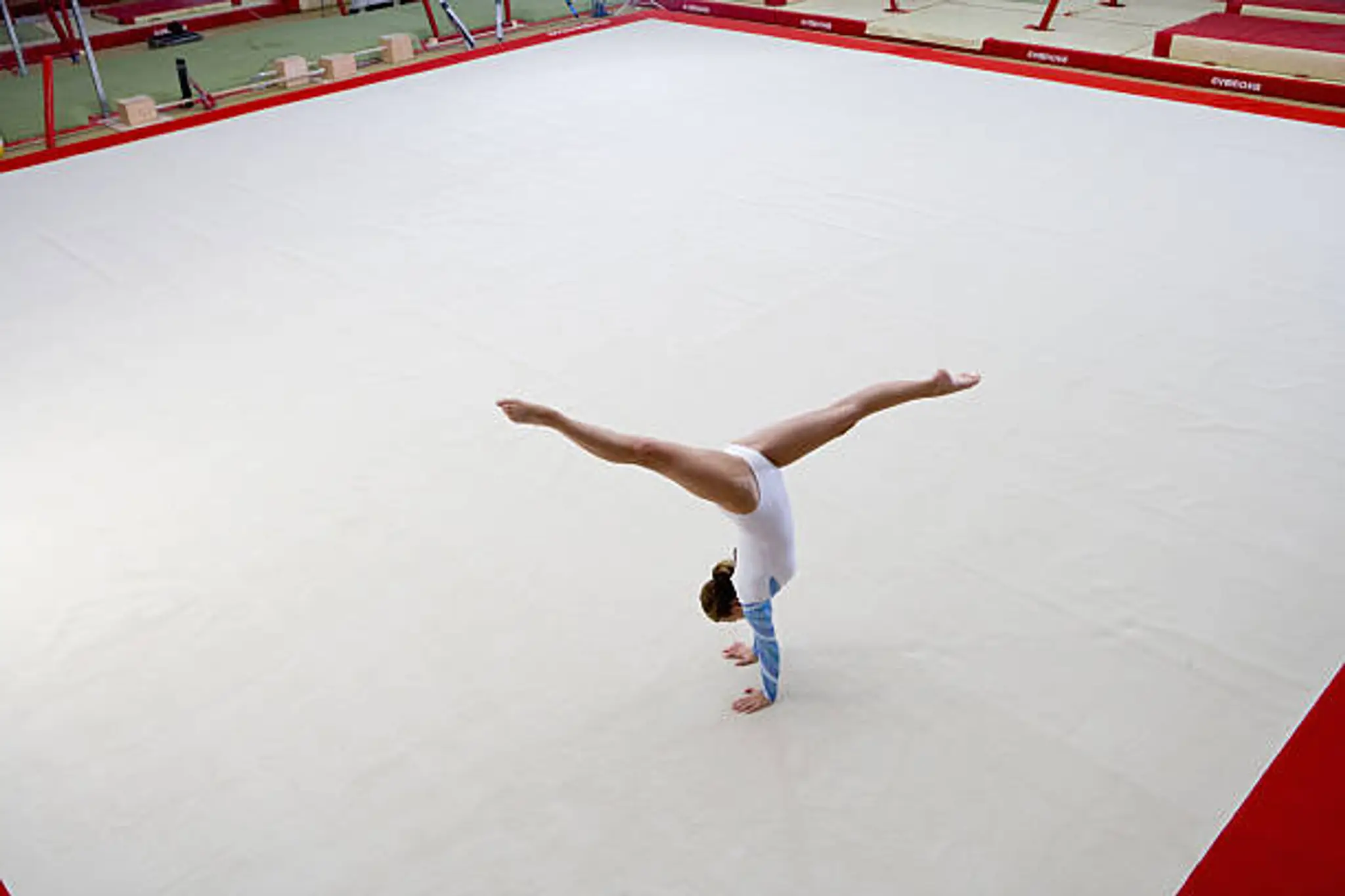 Som HIRONDELLE MILLAVOISE