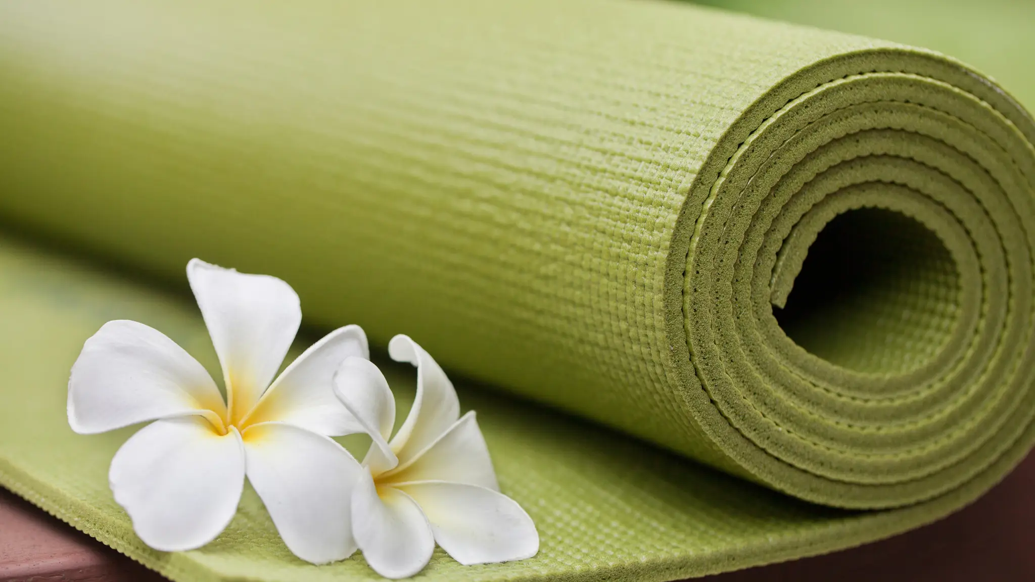 Back to Chiropractic