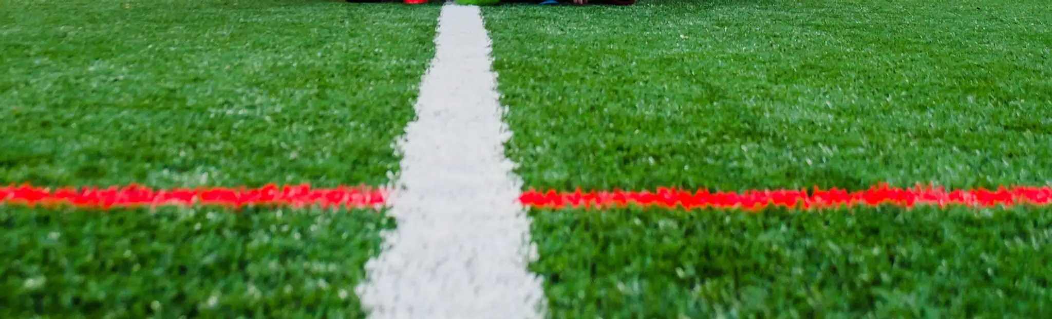 Burntwood Dragons & Phoenix