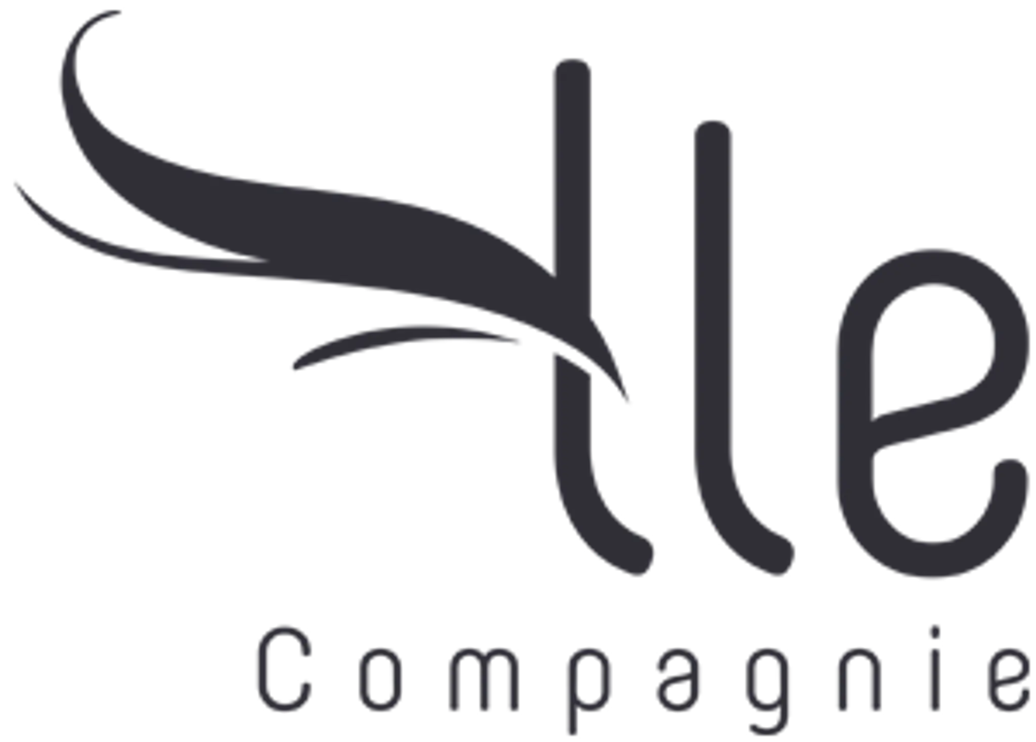 compagnie LLE