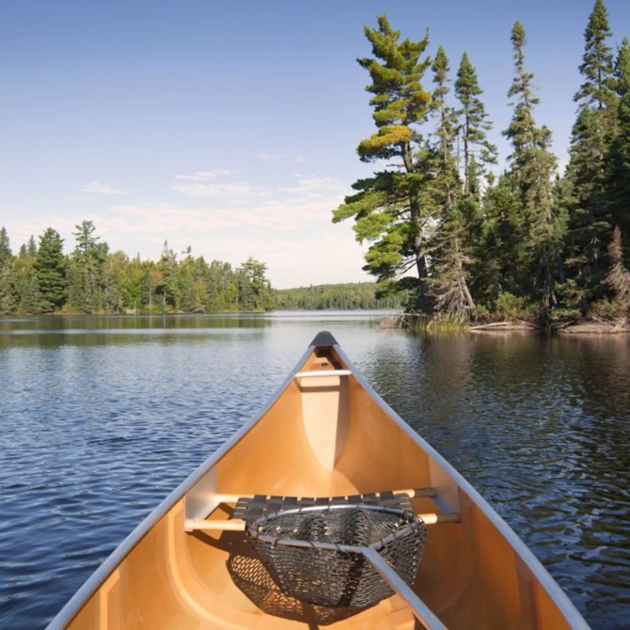 Wavebowl Entertainment Venue