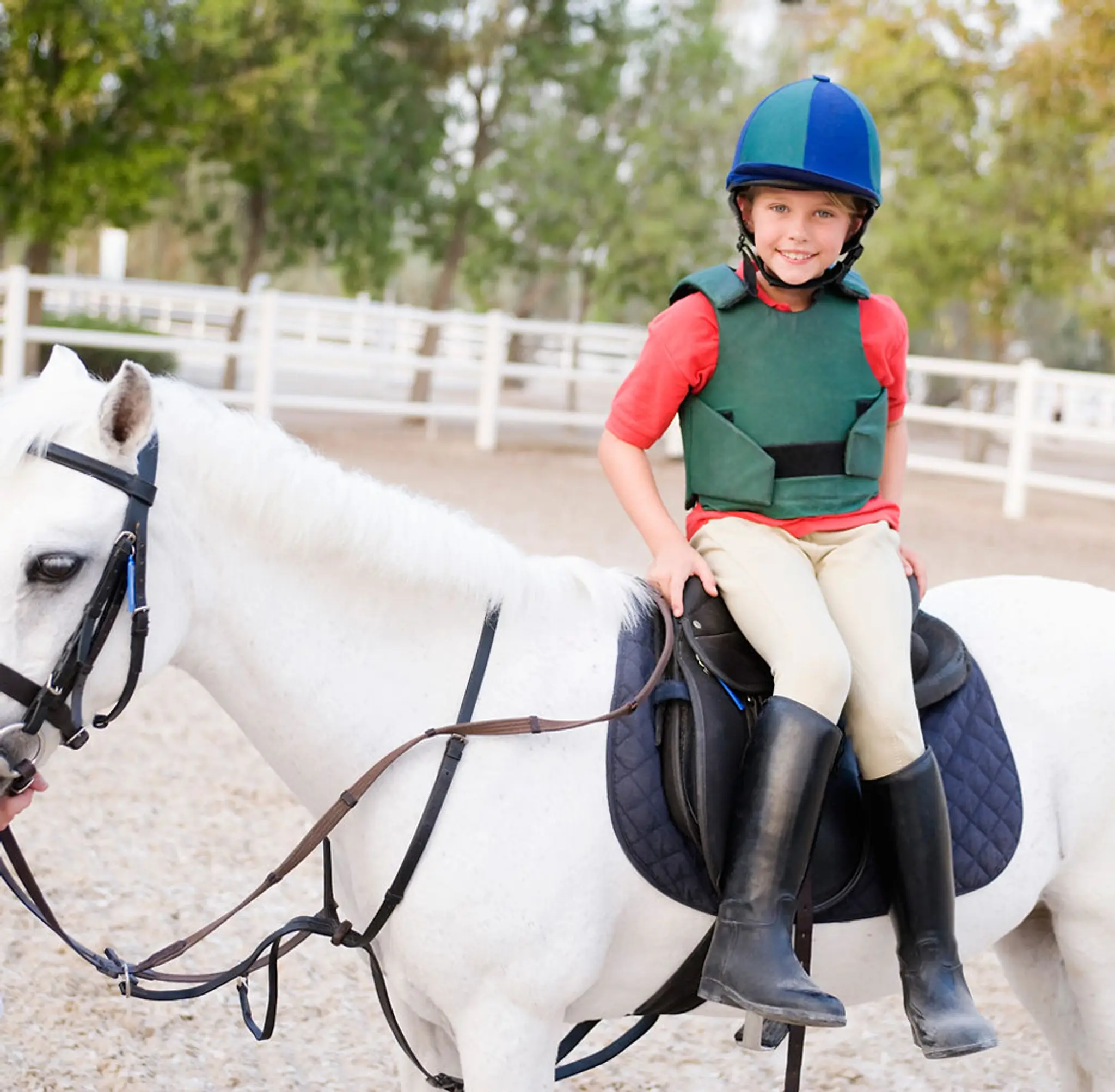 Icknield Livery Yard & Riding School