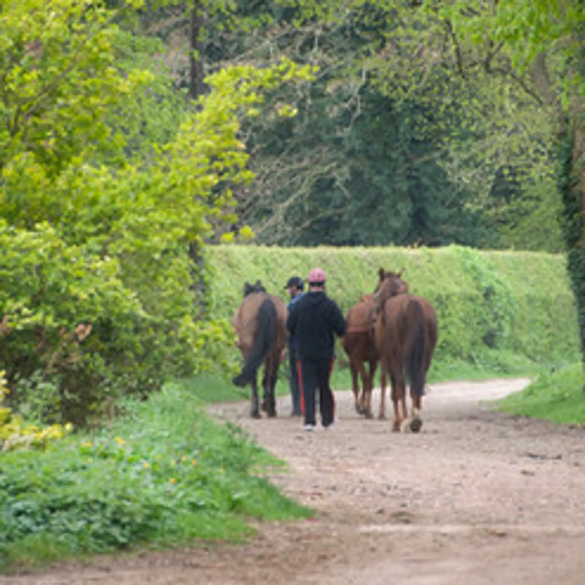 Cullinghood Equestrian Centre