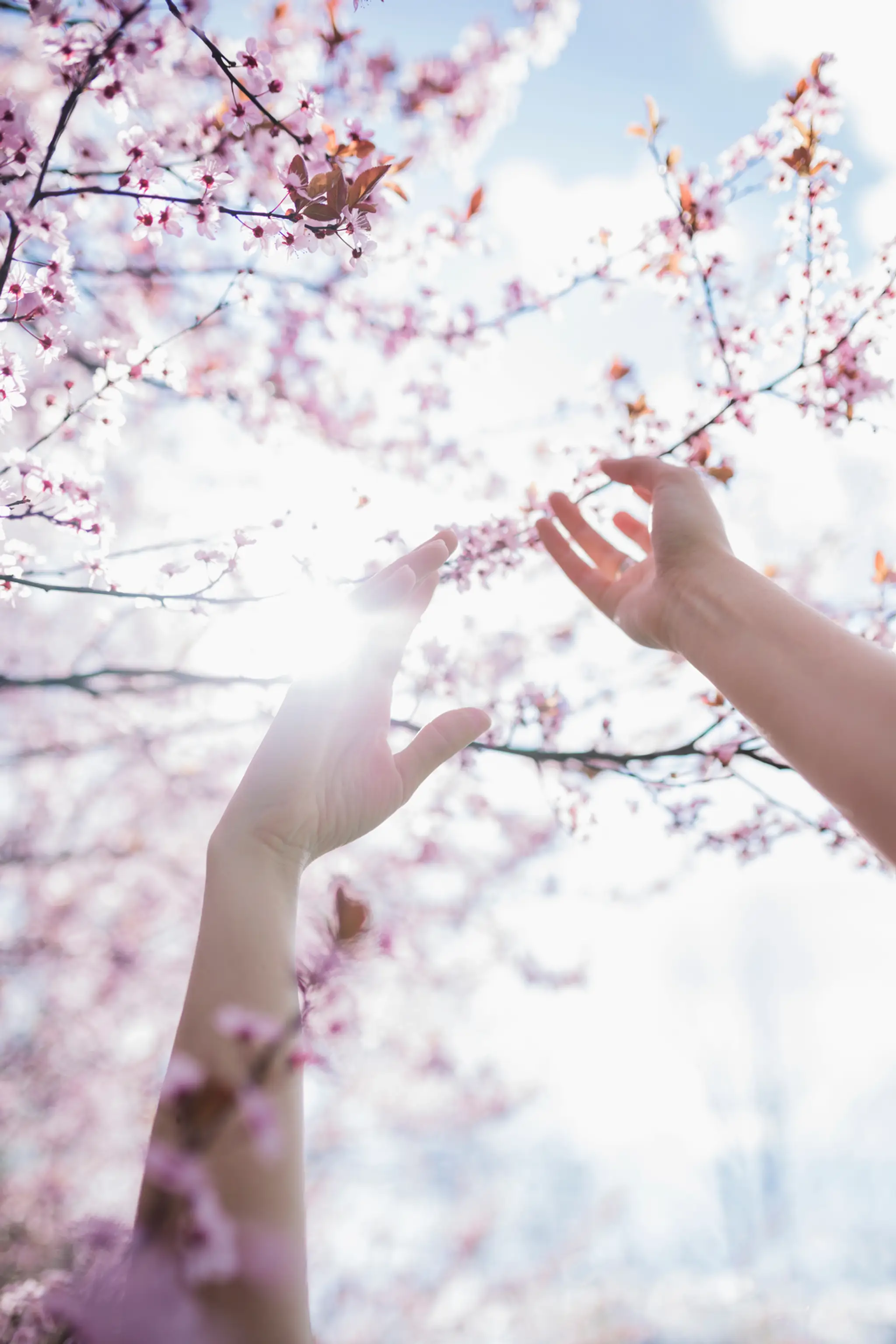 Anne-France Bienassis