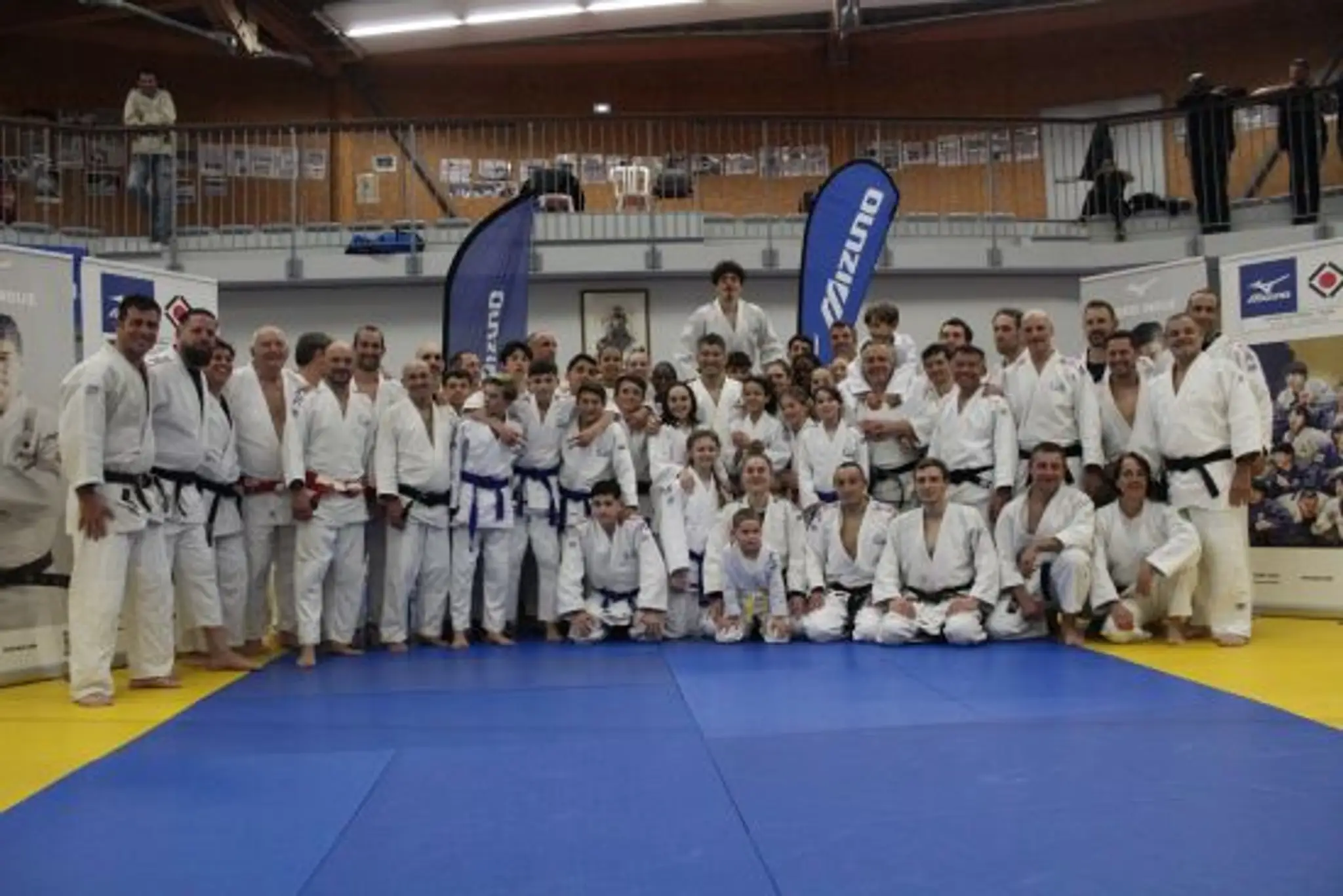 Dojo Herve Allari