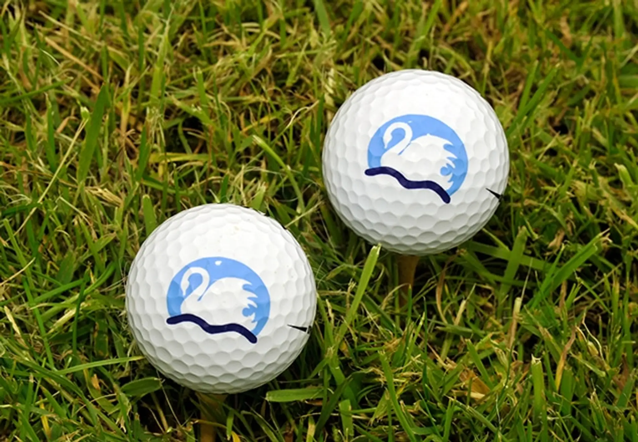 Peterstone Lakes Golf Club