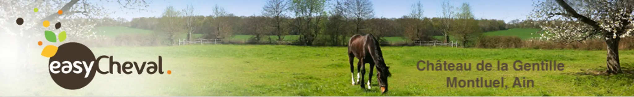 Easycheval School D'équitation