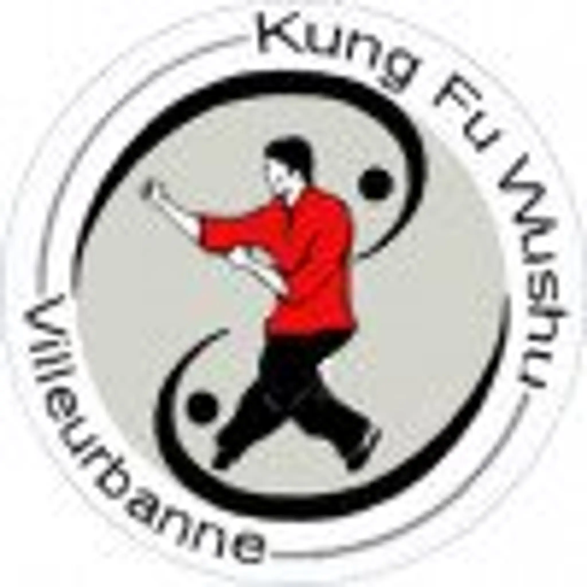 Kung Fu Wushu Villeurbanne
