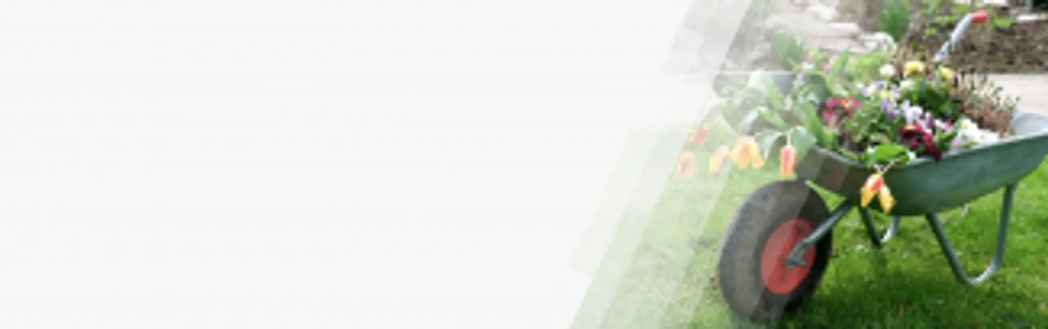 Pump Track Bexley Bike Park by Velosolutions