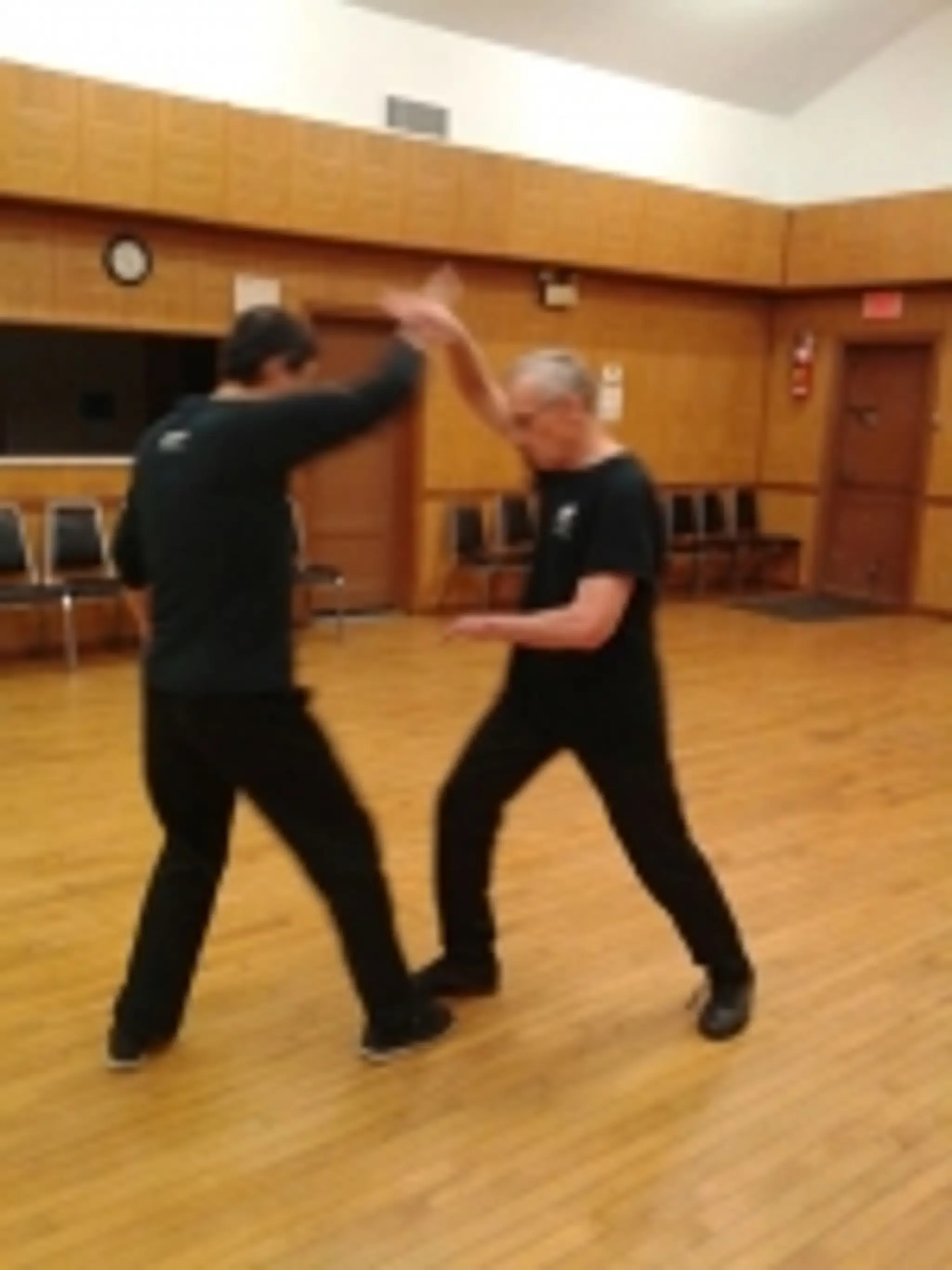 Leung's Yang Tai Chi
