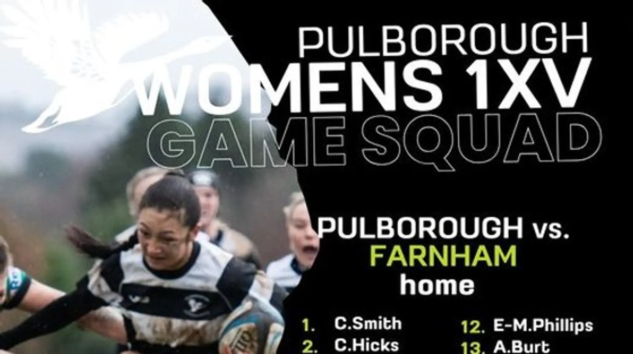 Pulborough Rugby Club