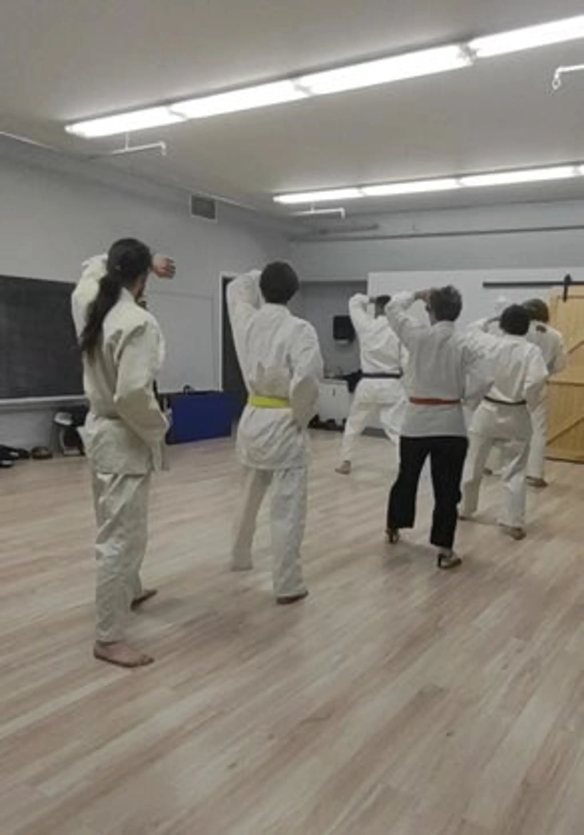 Phoenix Karate