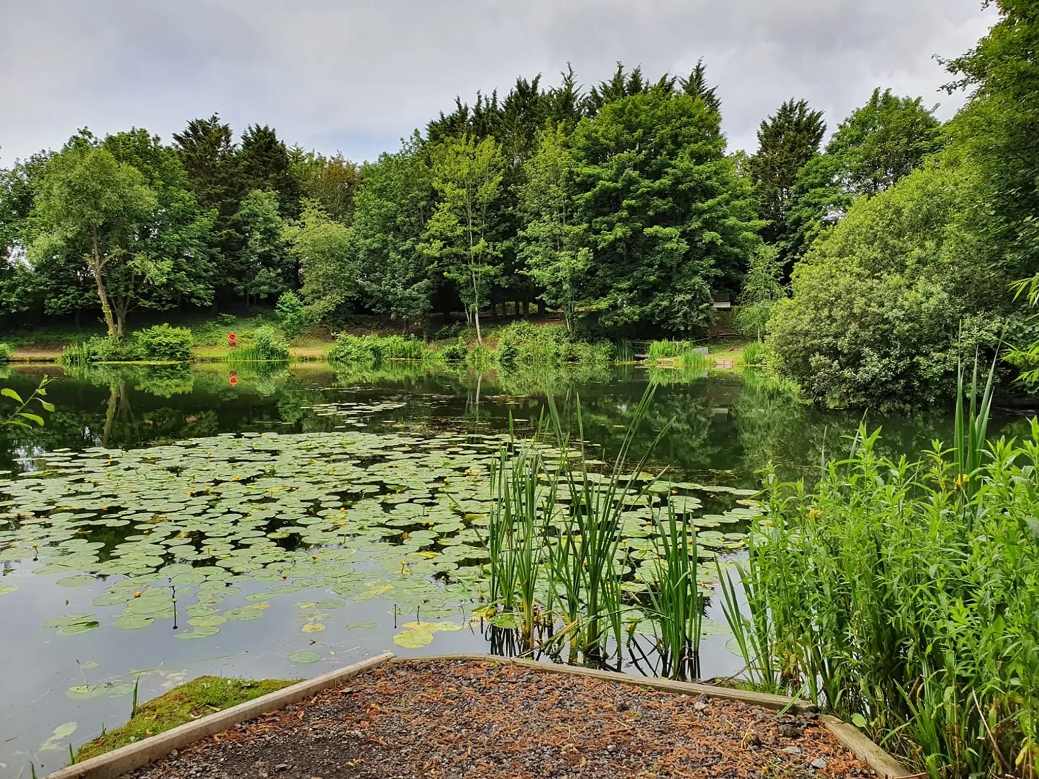 Lido (alcove angling)