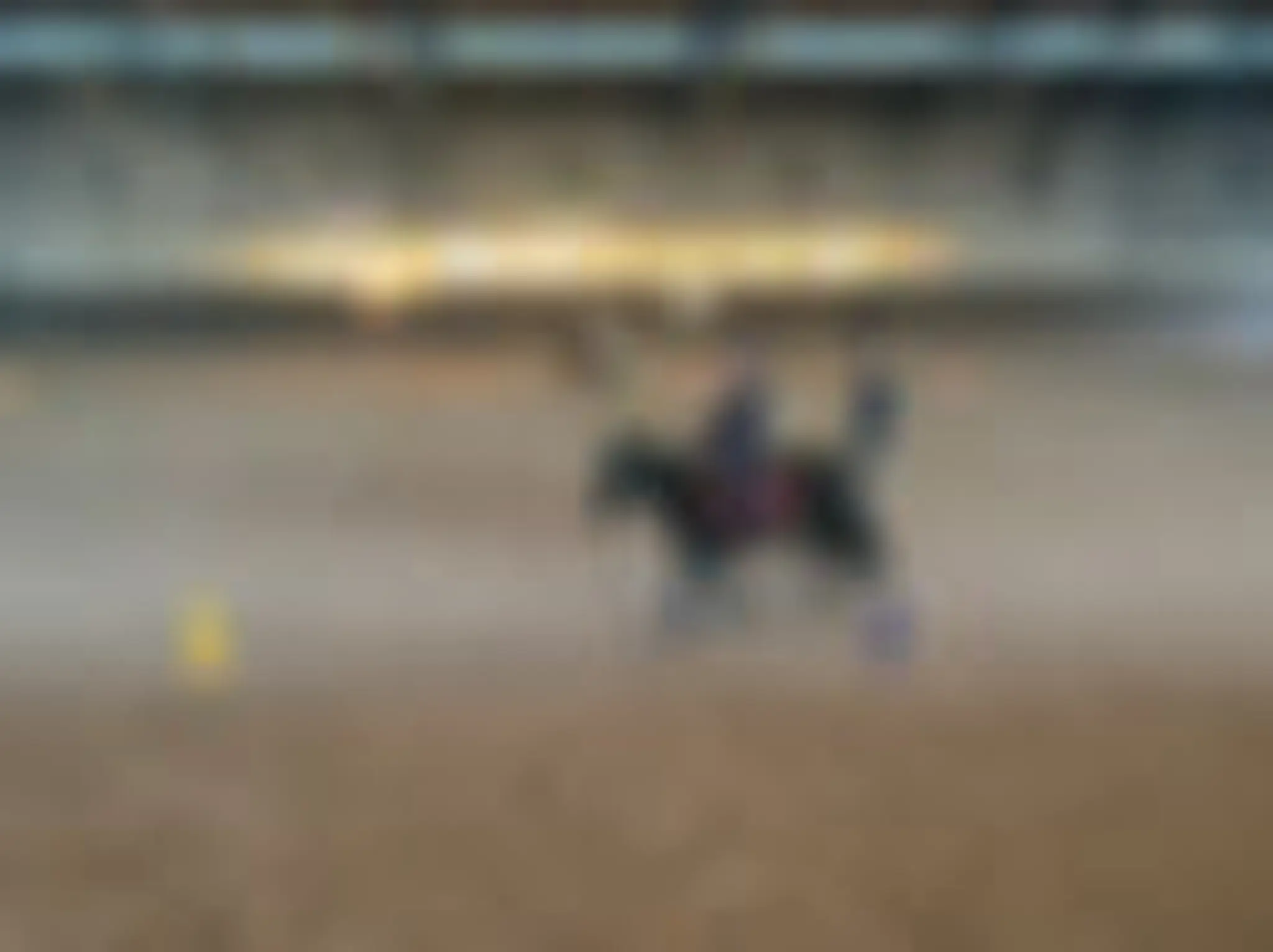 CERCLE HIPPIQUE DIJONNAIS