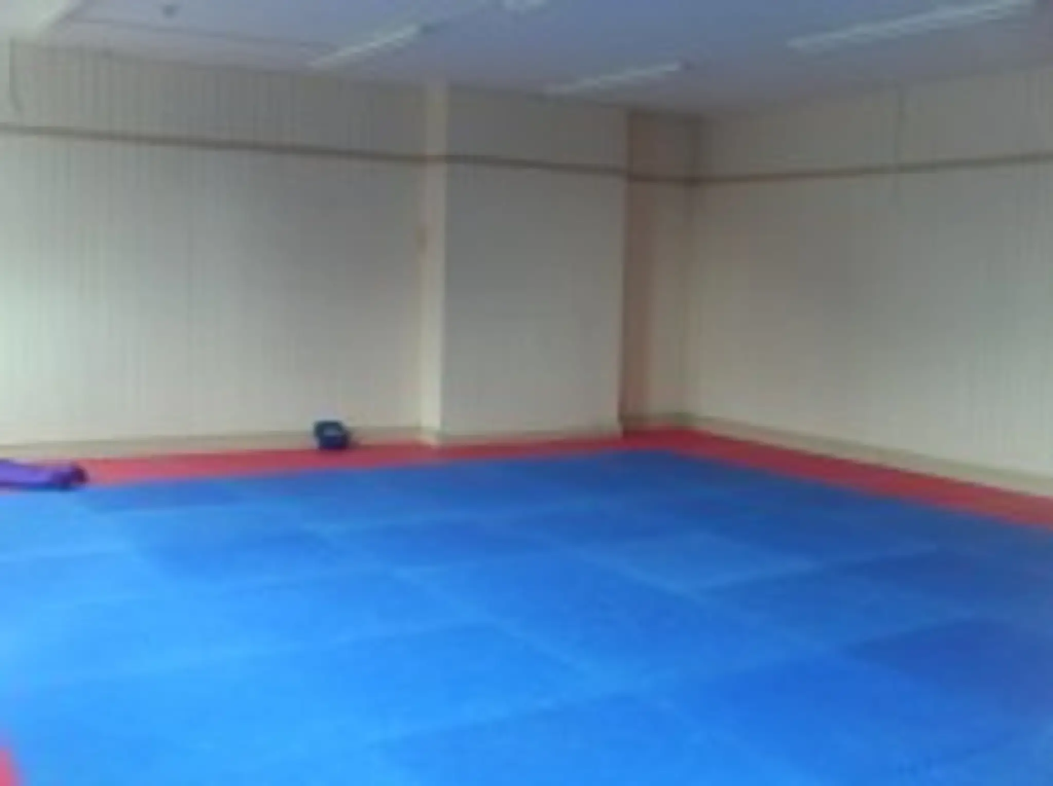 Nactics Martial Arts & Dance