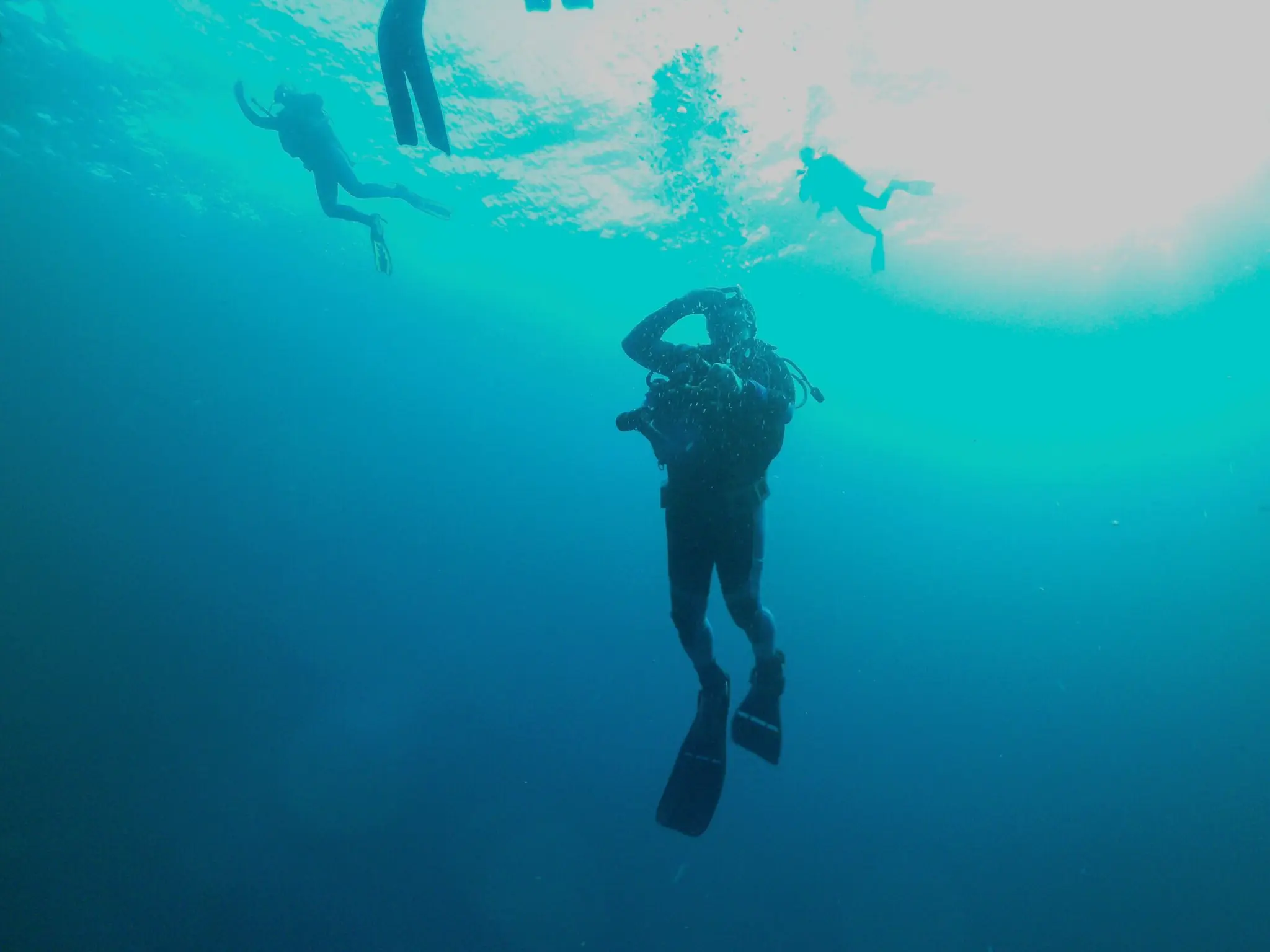 North East Derbyshire Sub Aqua Club