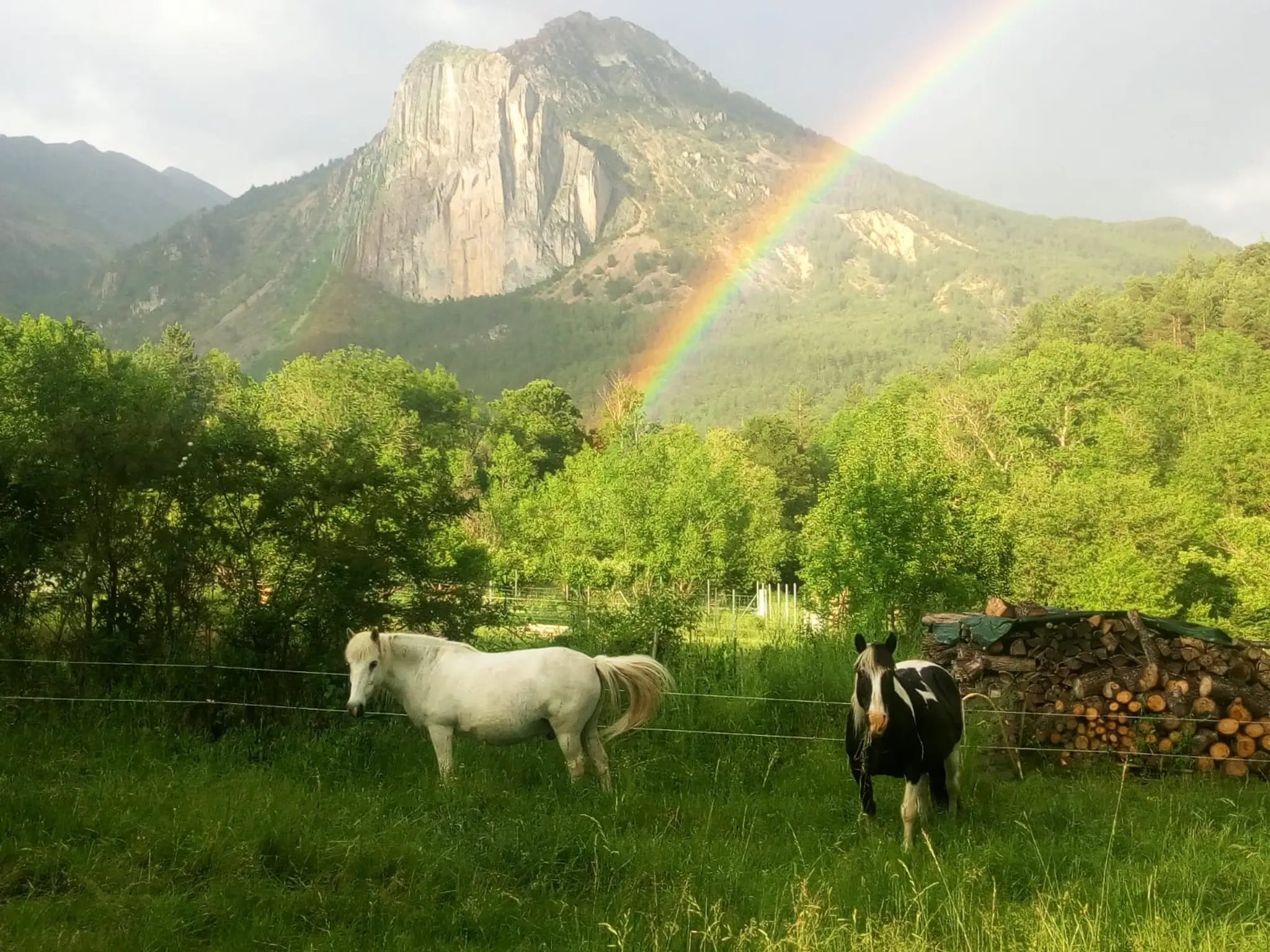 La Chevauchée Du Verdon