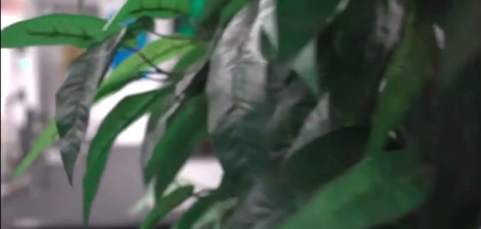 St Thomas Health Club